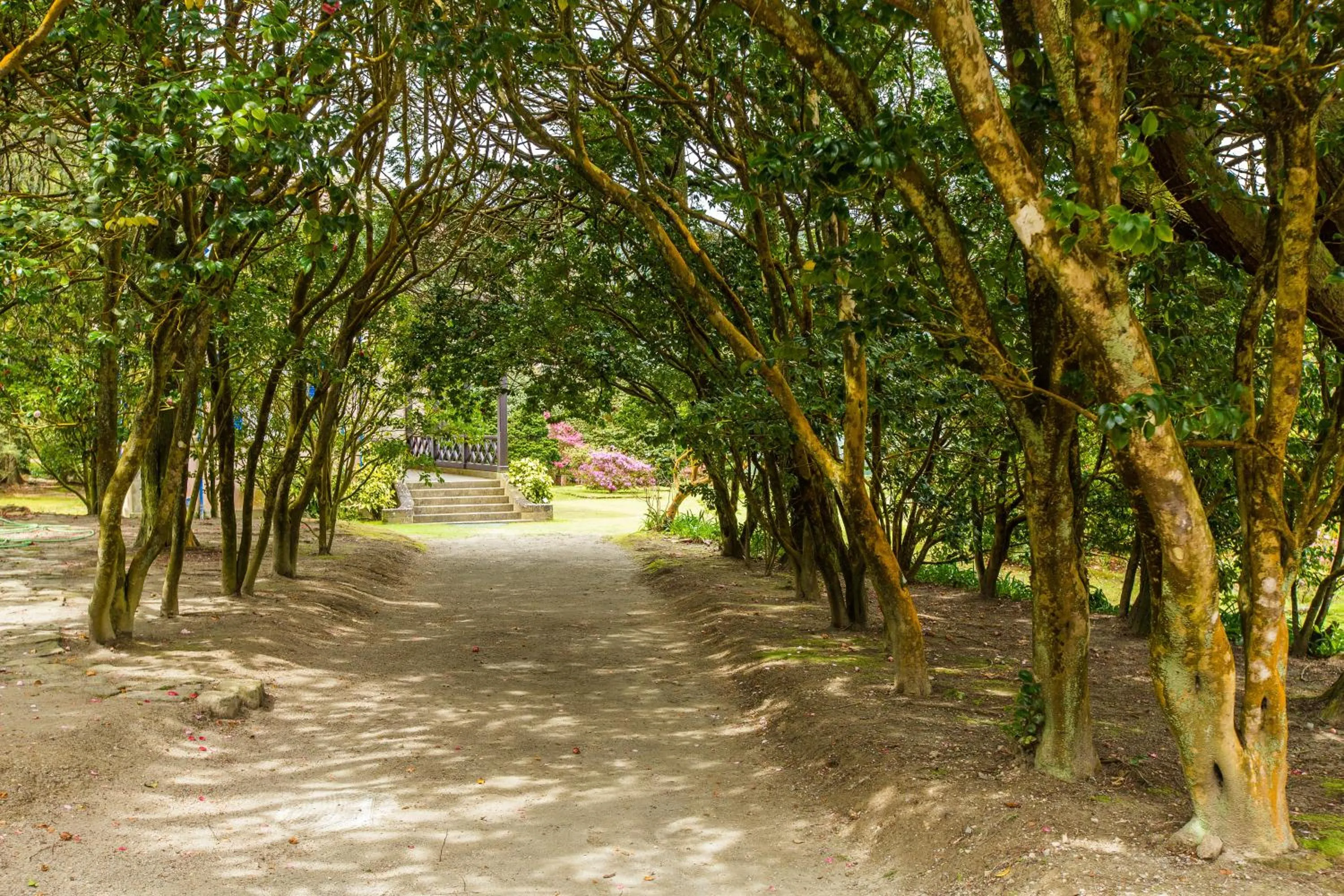 Natural landscape in Casa Dos Barcos Furnas