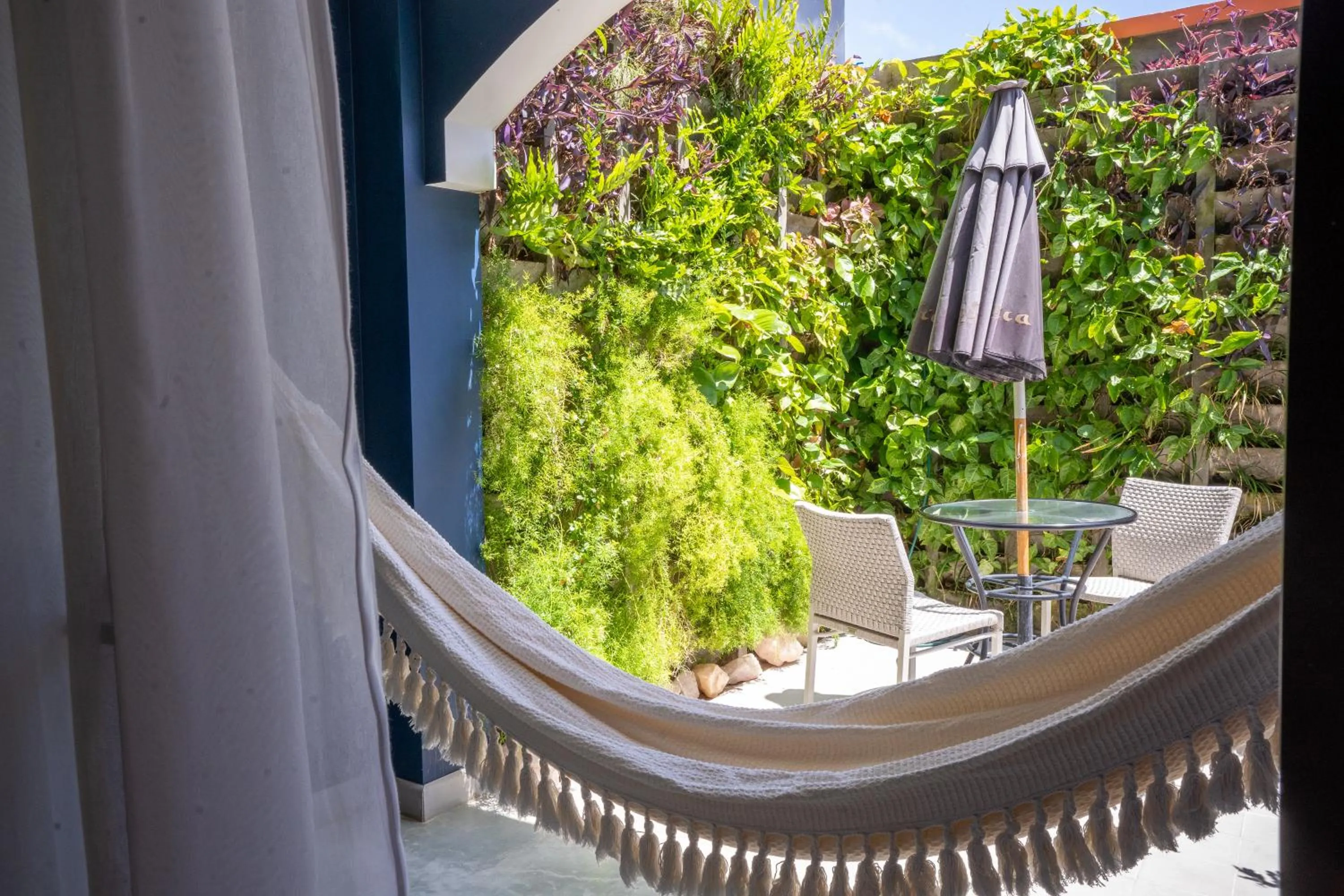 Patio in Exótica Boutique Hotel