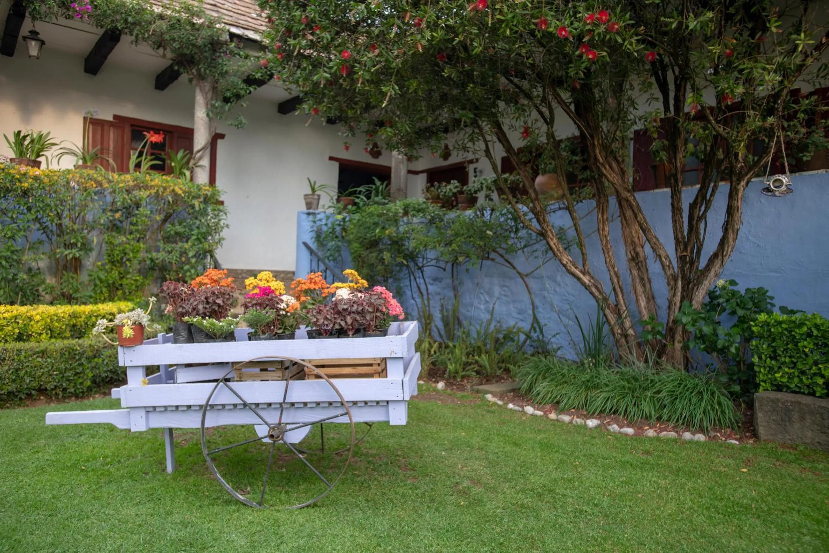 Garden view in La Casa Azul Huasca & Restaurante La Terraza