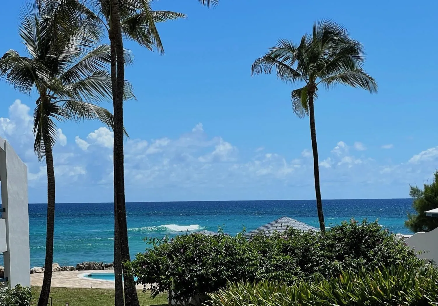 View (from property/room) in OceanBlue Resort