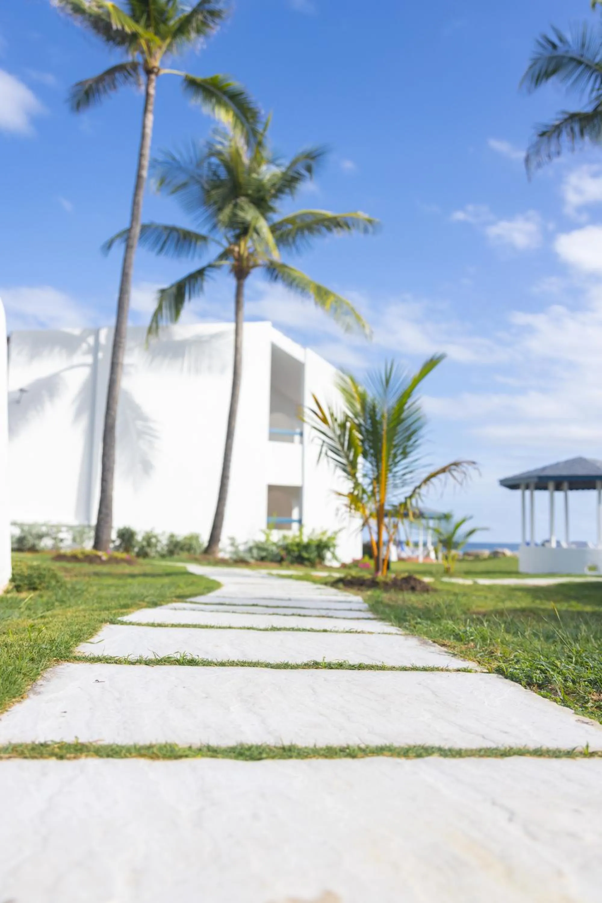 Natural landscape in OceanBlue Resort