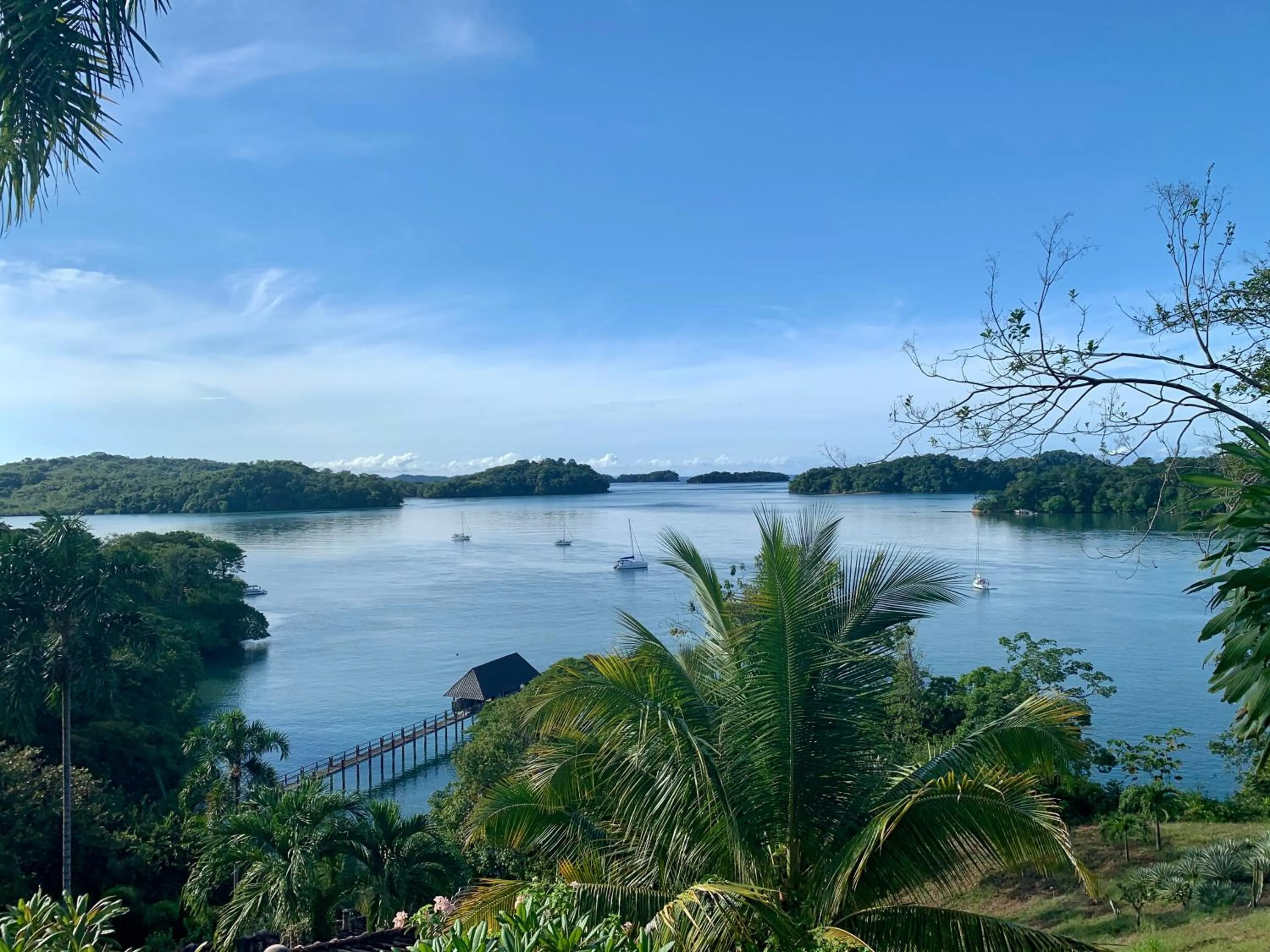 View (from property/room) in Seagull Cove Resort
