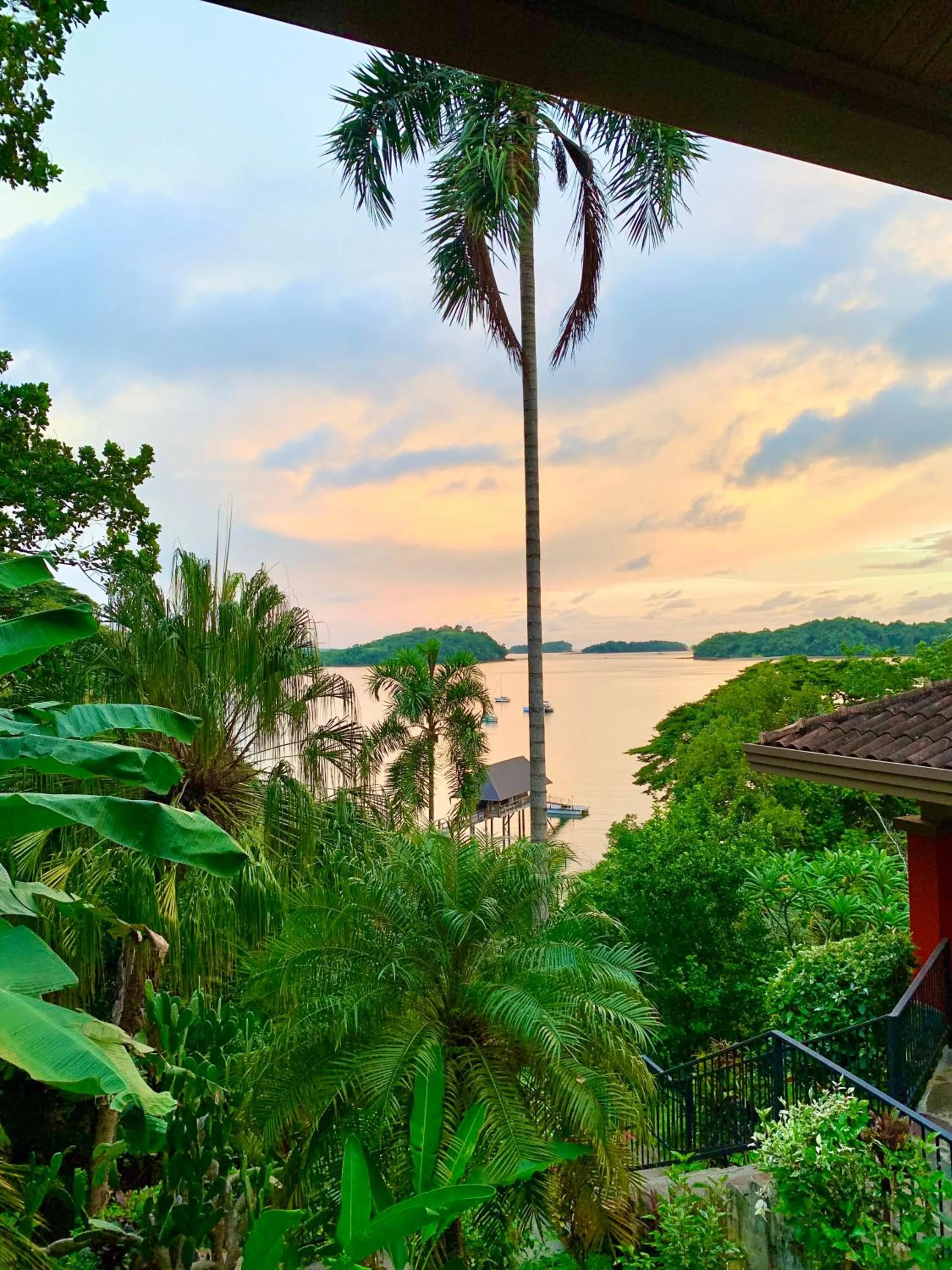 Natural landscape in Seagull Cove Resort