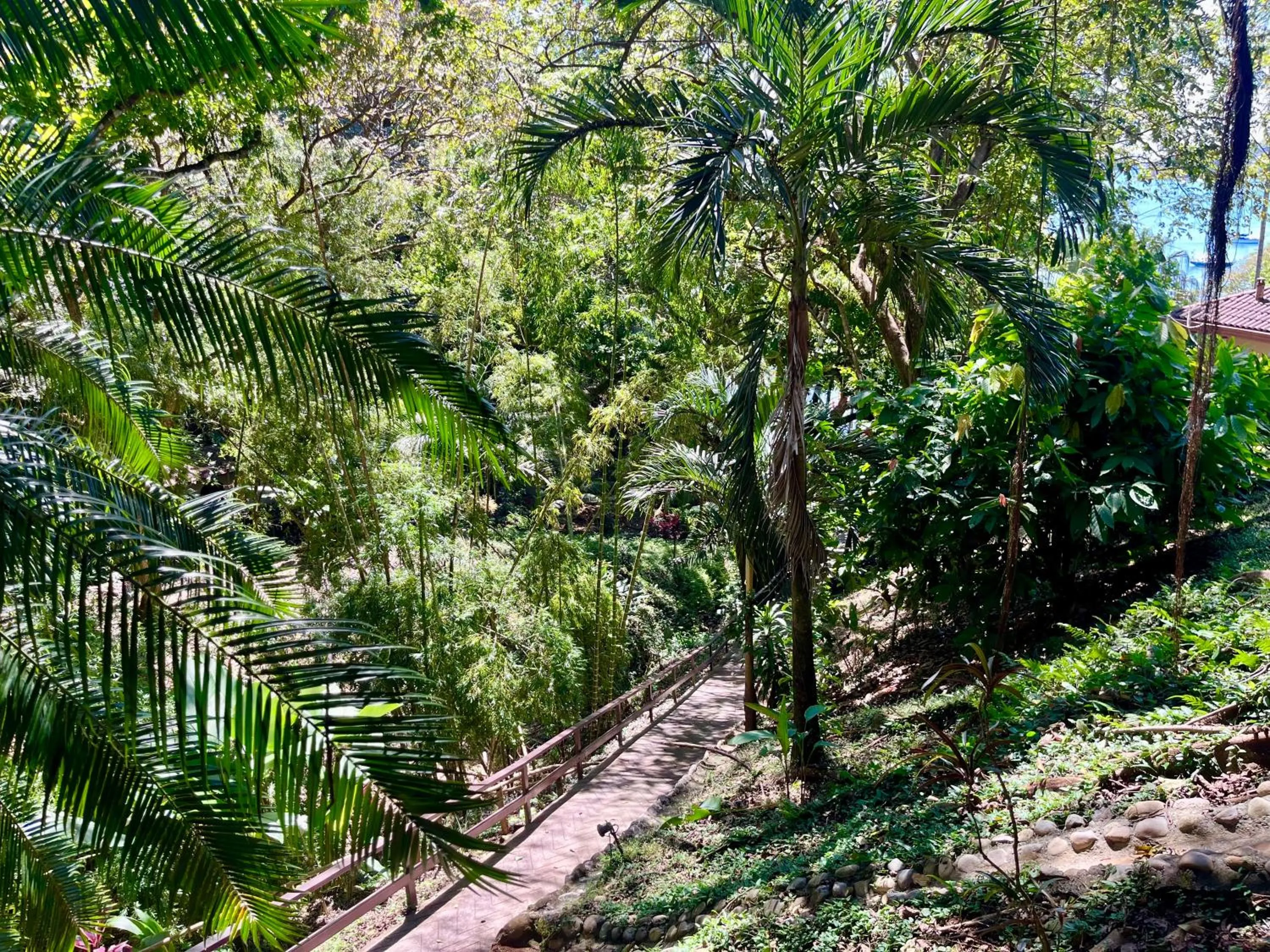 Natural landscape in Seagull Cove Resort