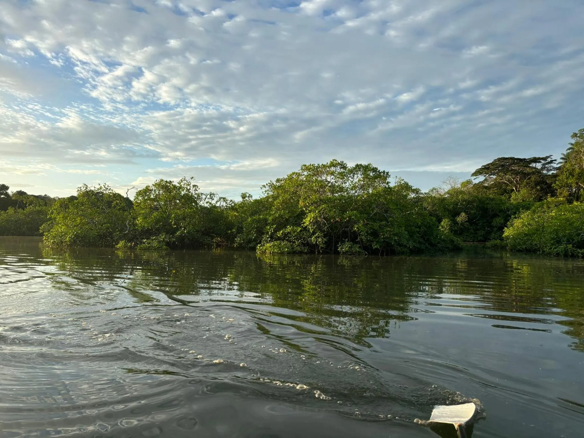 Activities in Seagull Cove Resort