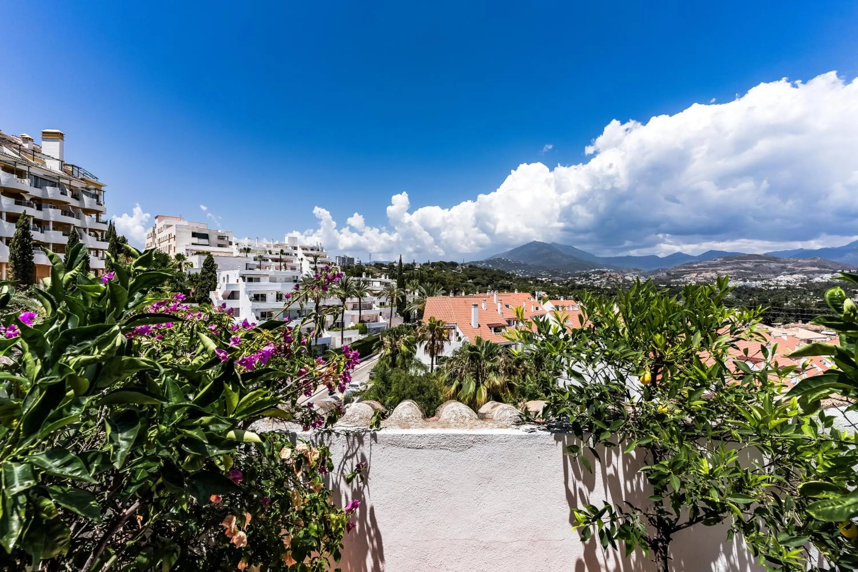 View (from property/room) in Molo Luxury Suites Puerto Banus