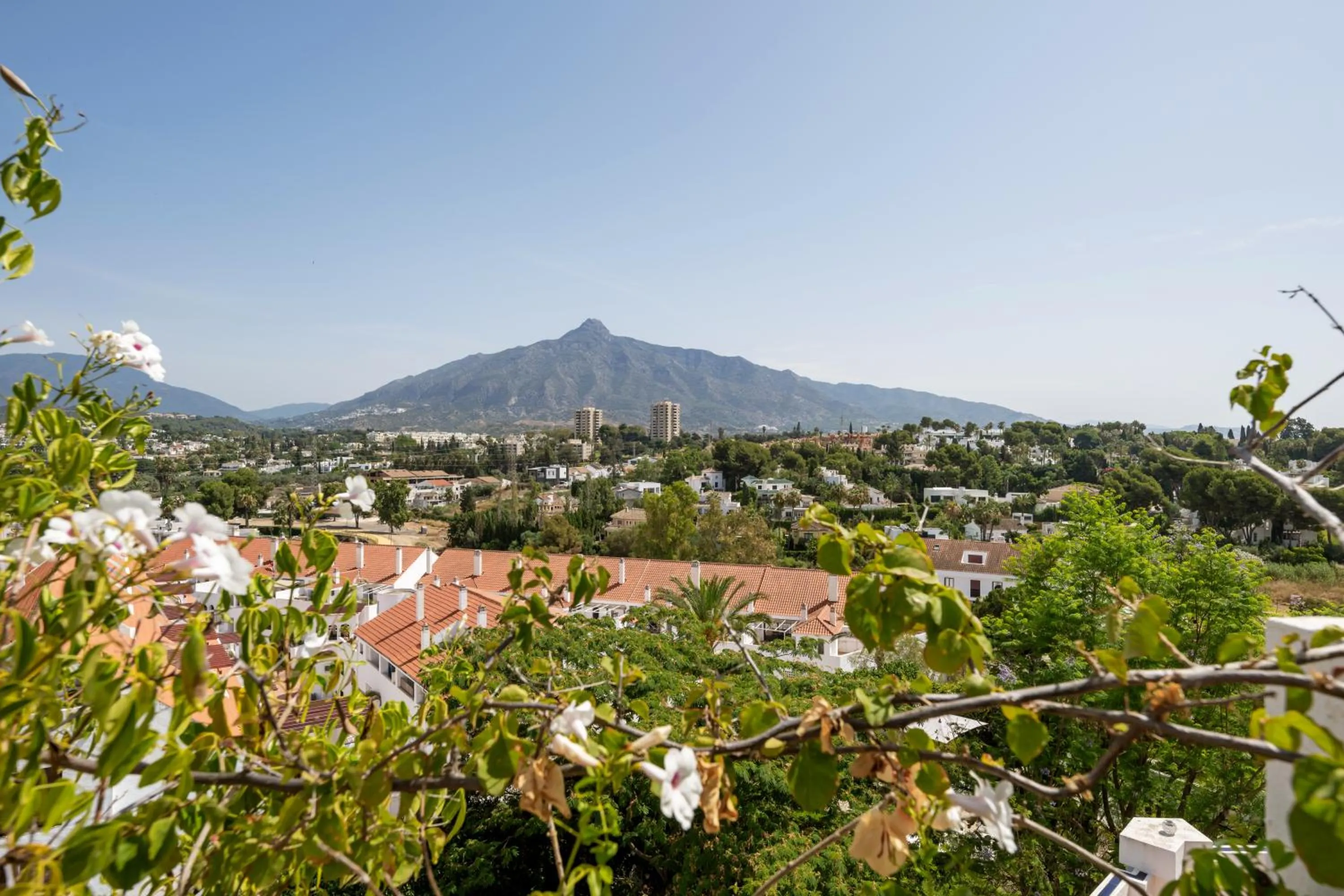 View (from property/room) in Molo Luxury Suites Puerto Banus
