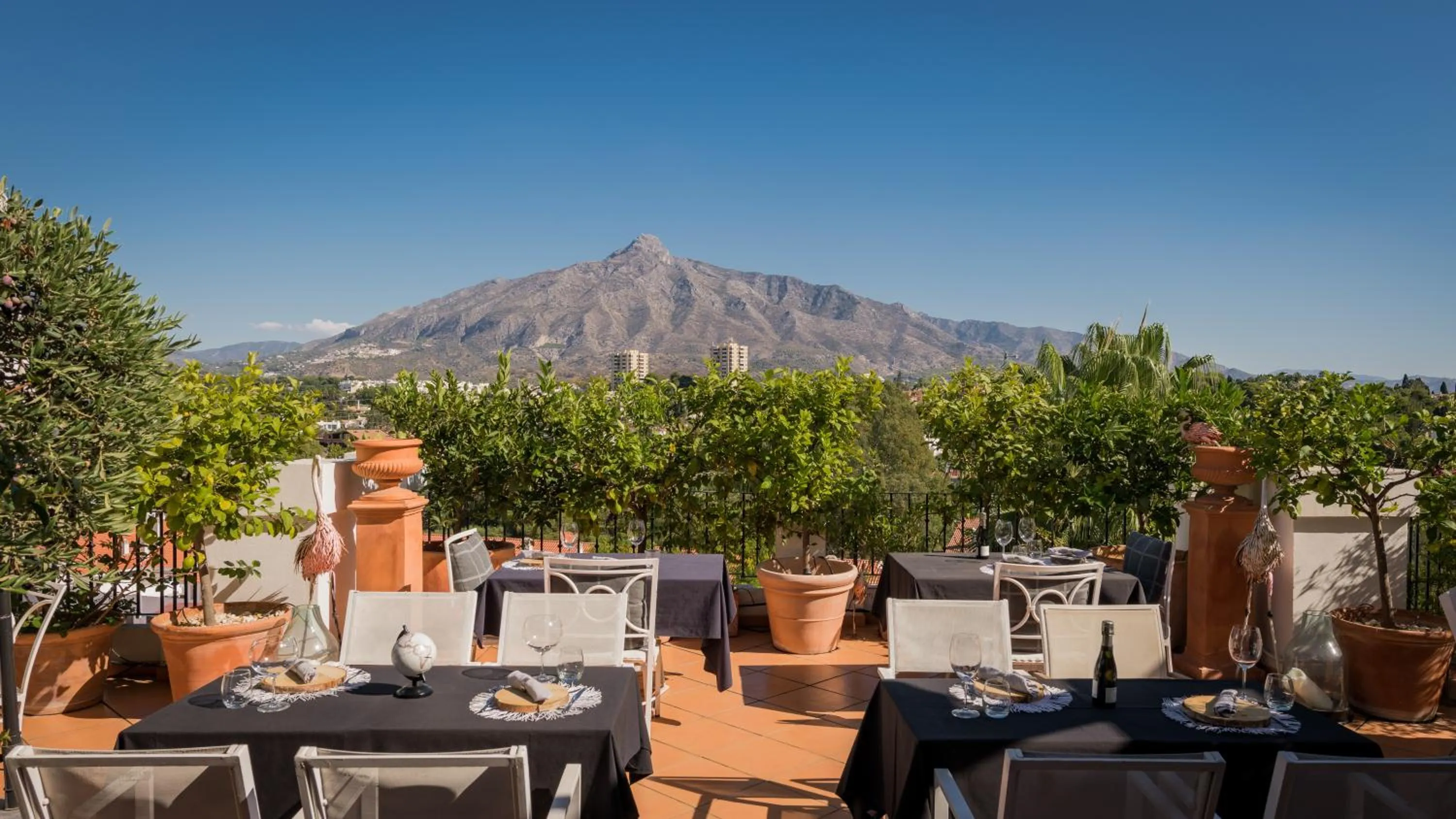 Restaurant/places to eat in Molo Luxury Suites Puerto Banus