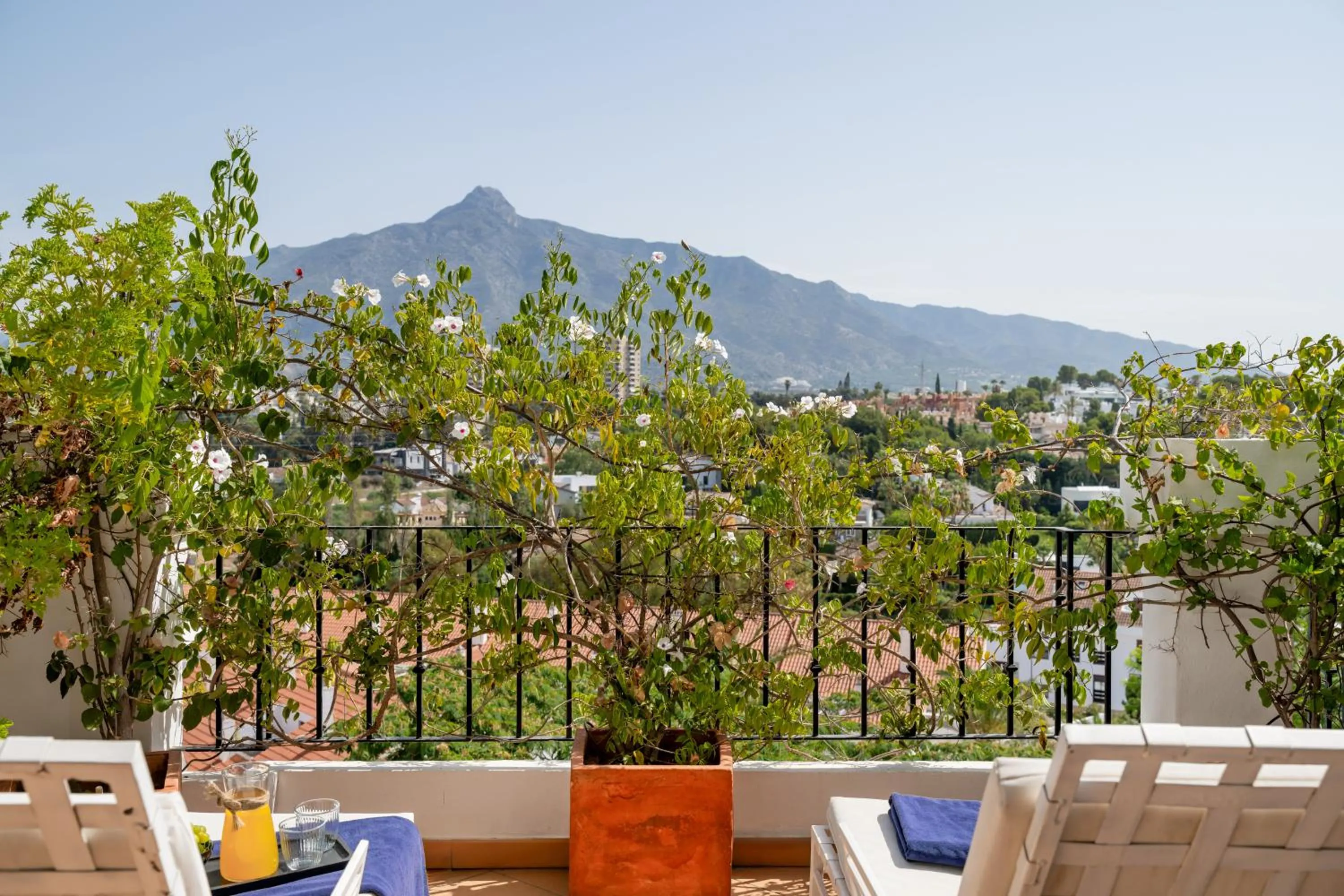 View (from property/room) in Molo Luxury Suites Puerto Banus