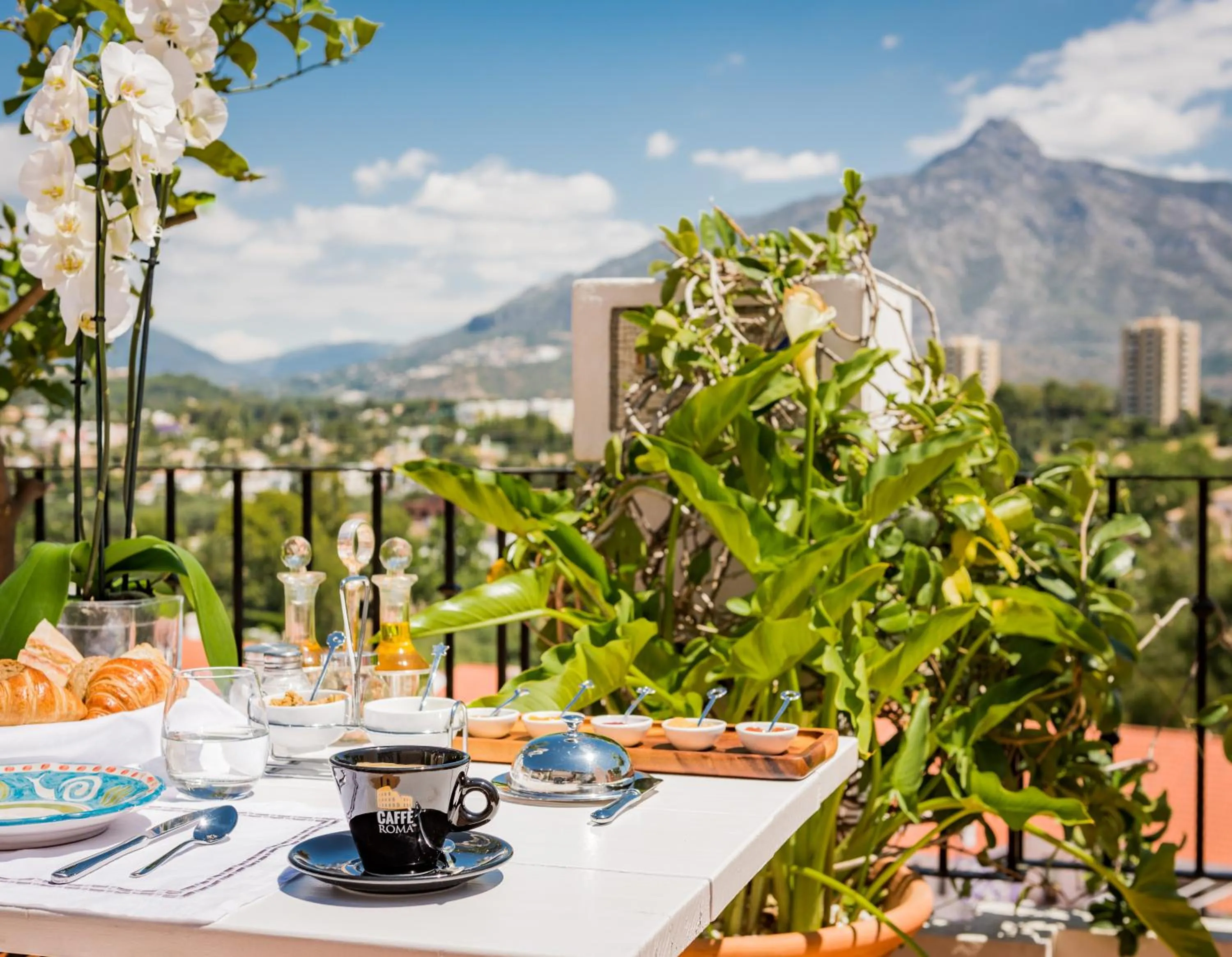 Food and drinks in Molo Luxury Suites Puerto Banus