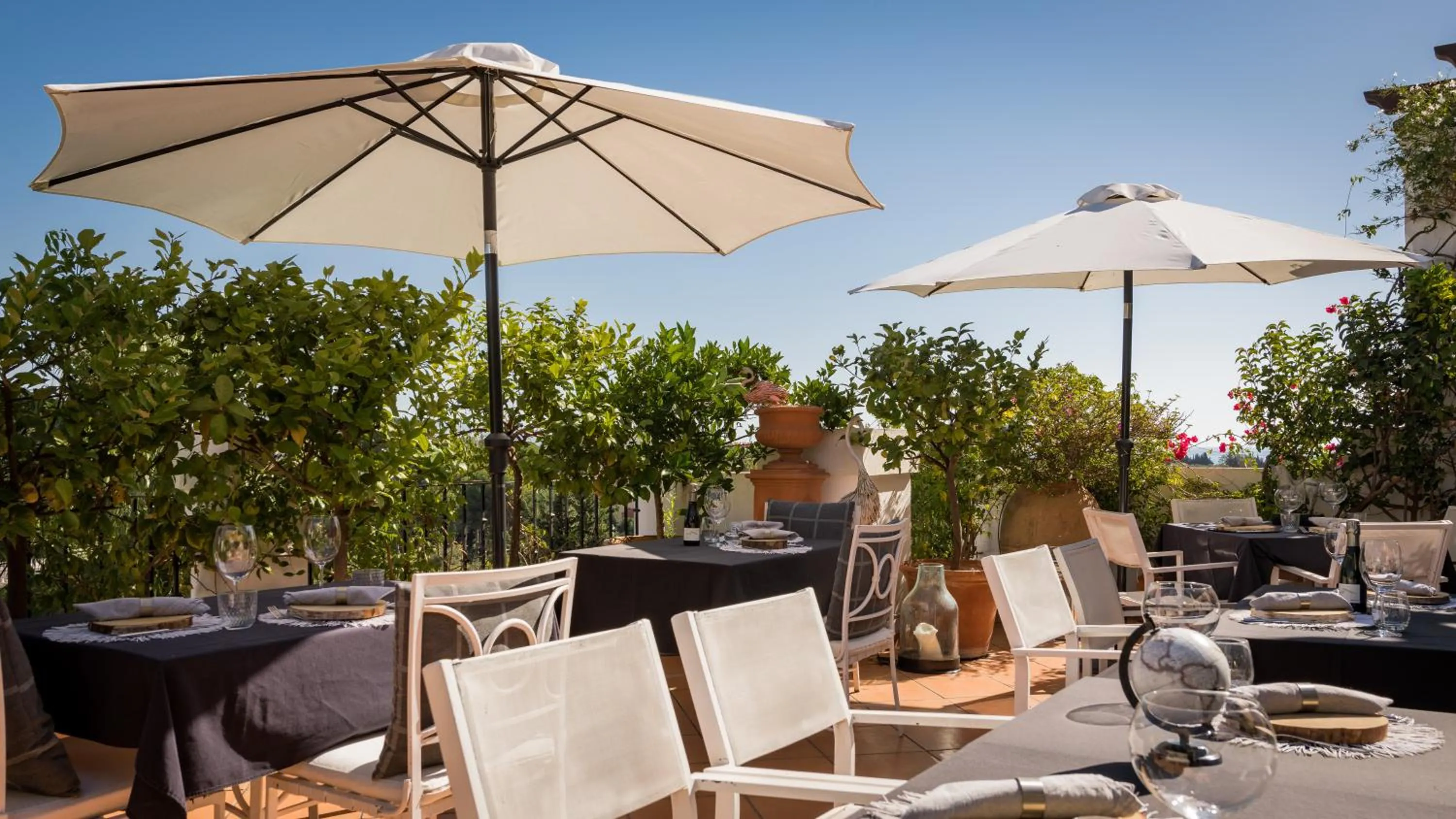 Restaurant/places to eat in Molo Luxury Suites Puerto Banus