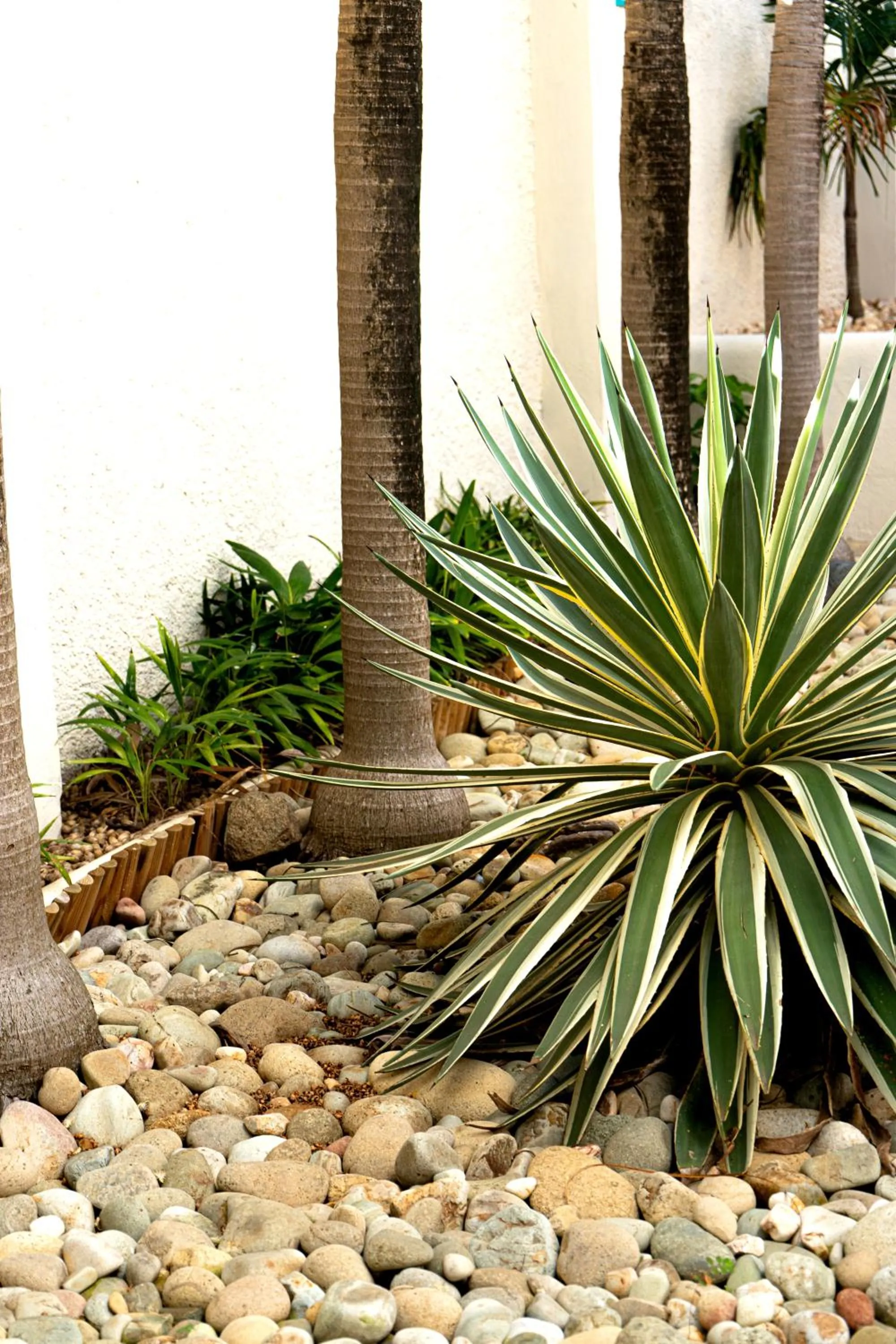 Garden in Koho SXM - ex Hevea Hotel