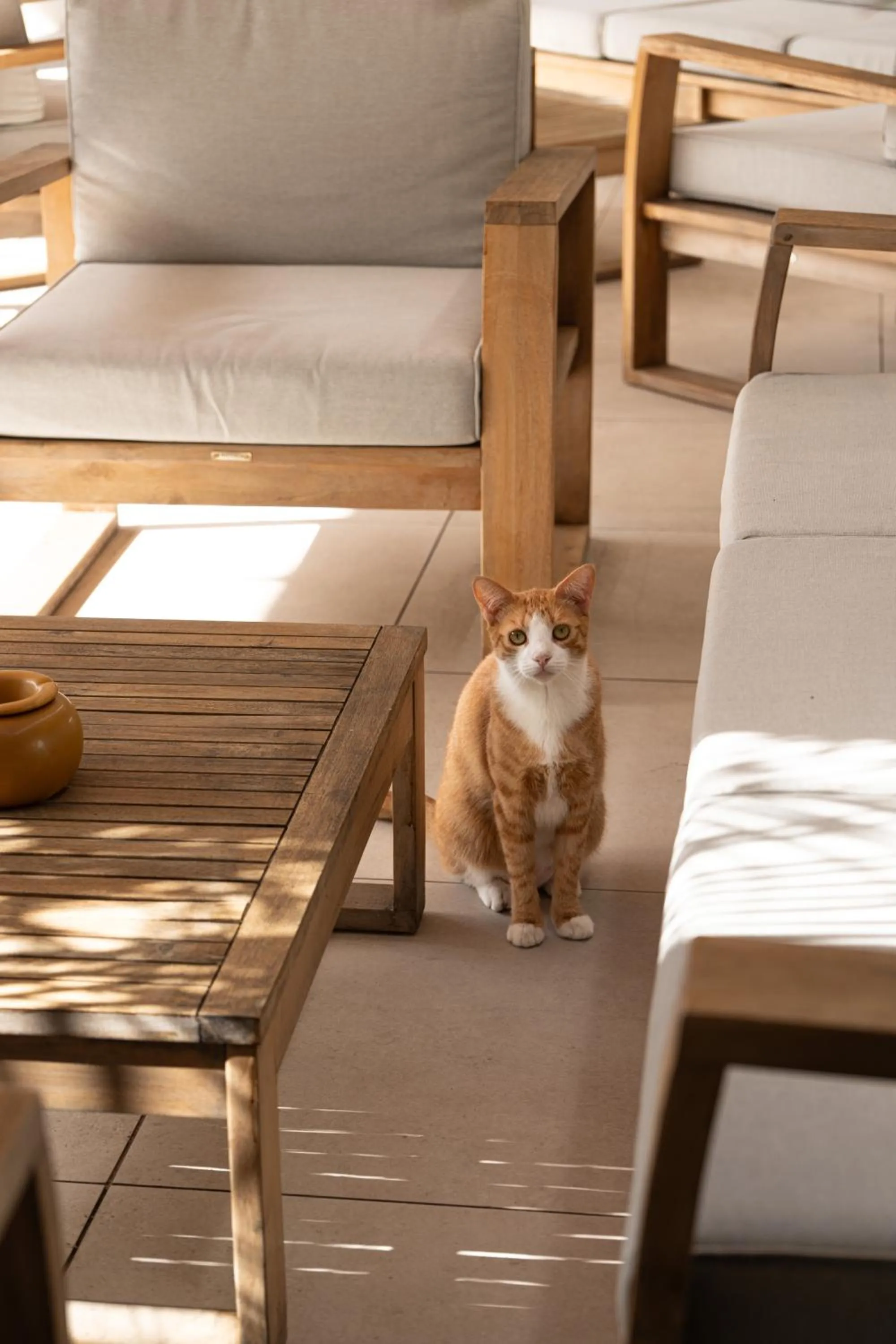 Patio in Koho SXM - ex Hevea Hotel
