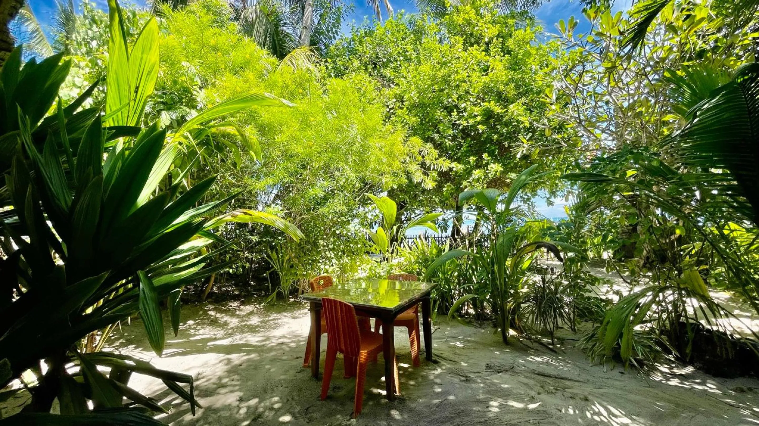 Garden in Victory Seaside Home