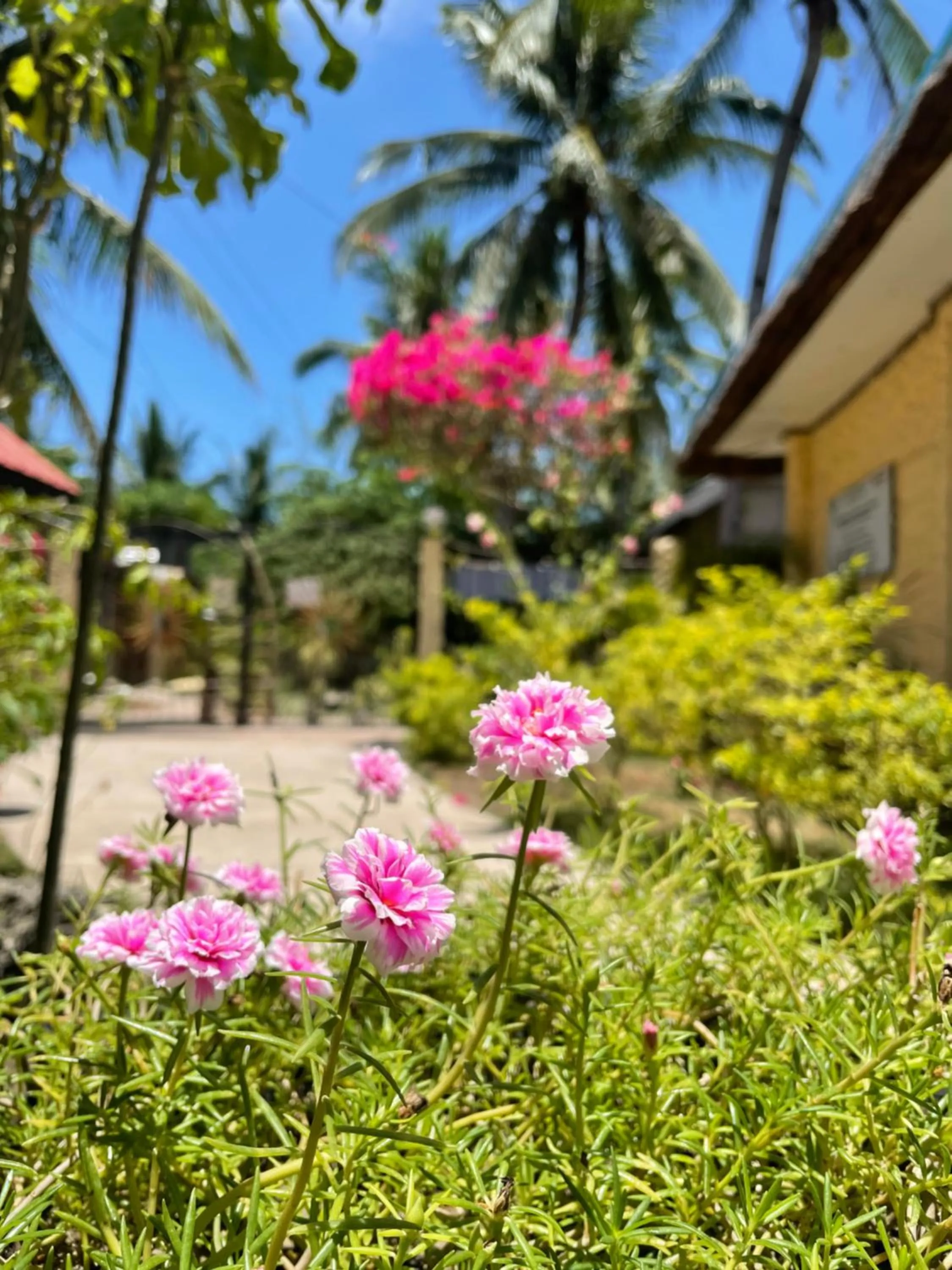 Garden in Victory Seaside Home