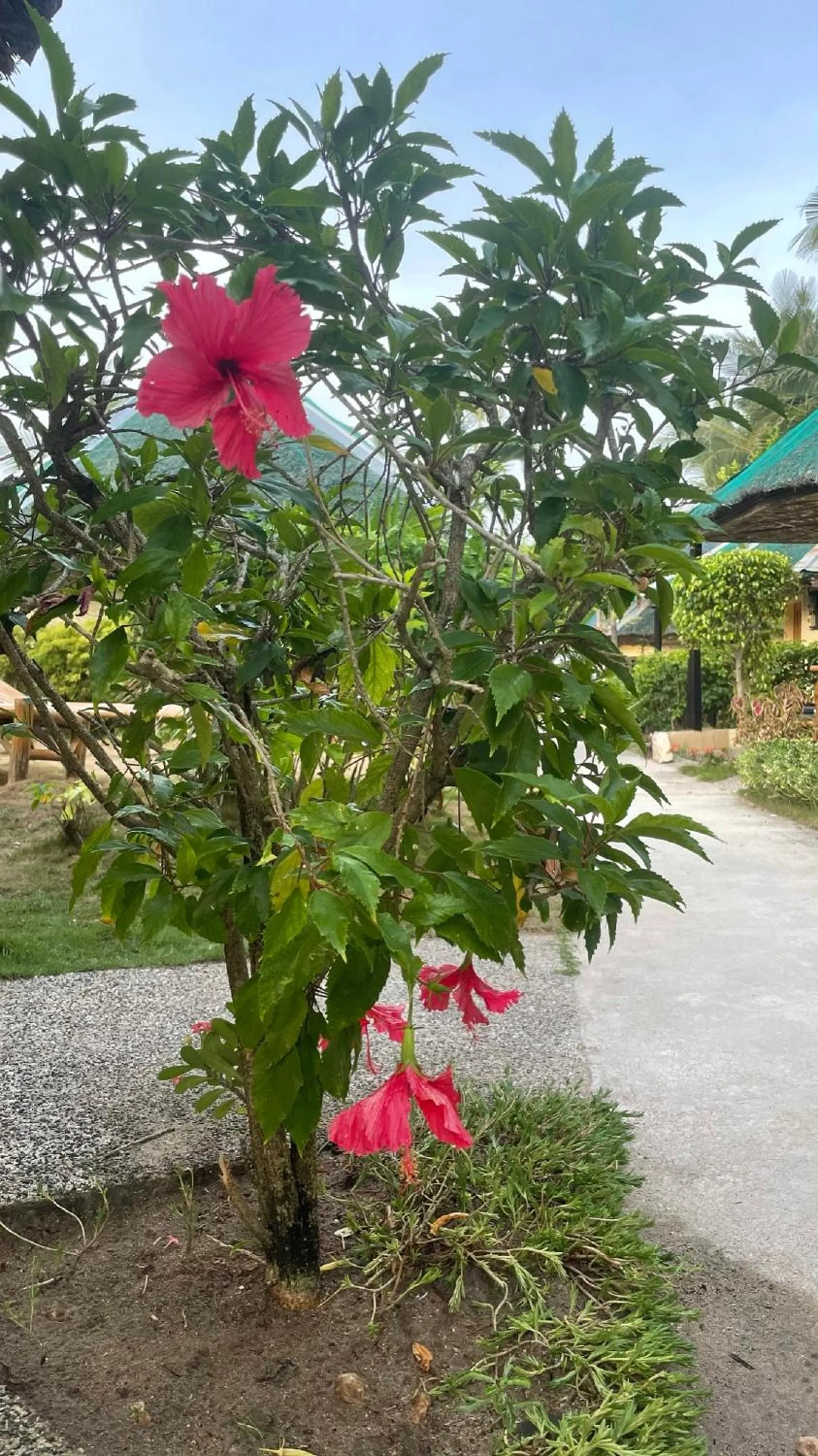 Garden in Victory Seaside Home