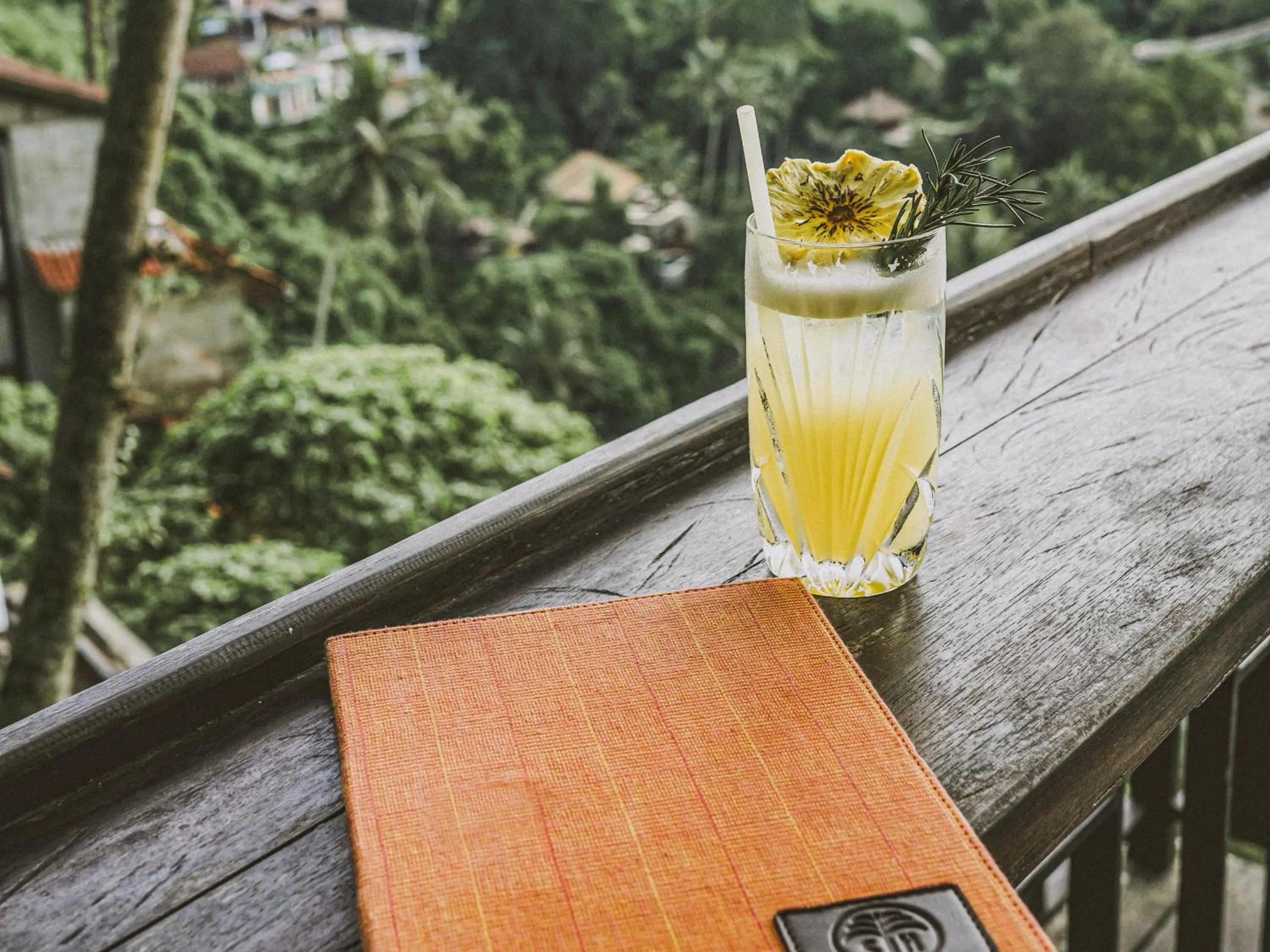 Drinks in The Sayan House Villas