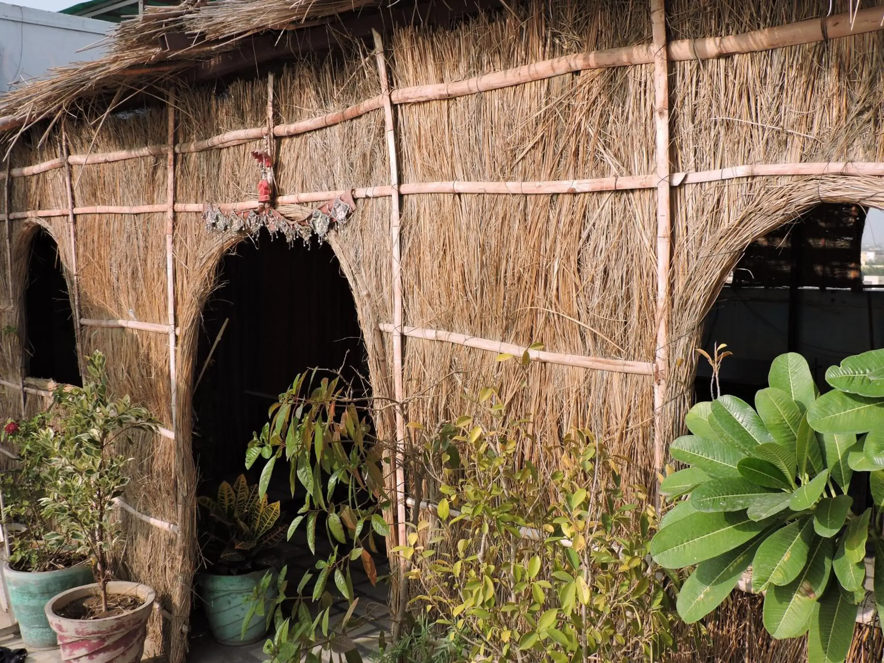 Restaurant/places to eat in Jamna Vilas Guest House and Restaurant Restaurant/places to eat in Jamna Vilas Guest House and Restaurant