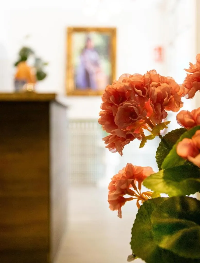 Hotel Boutique Andalucia