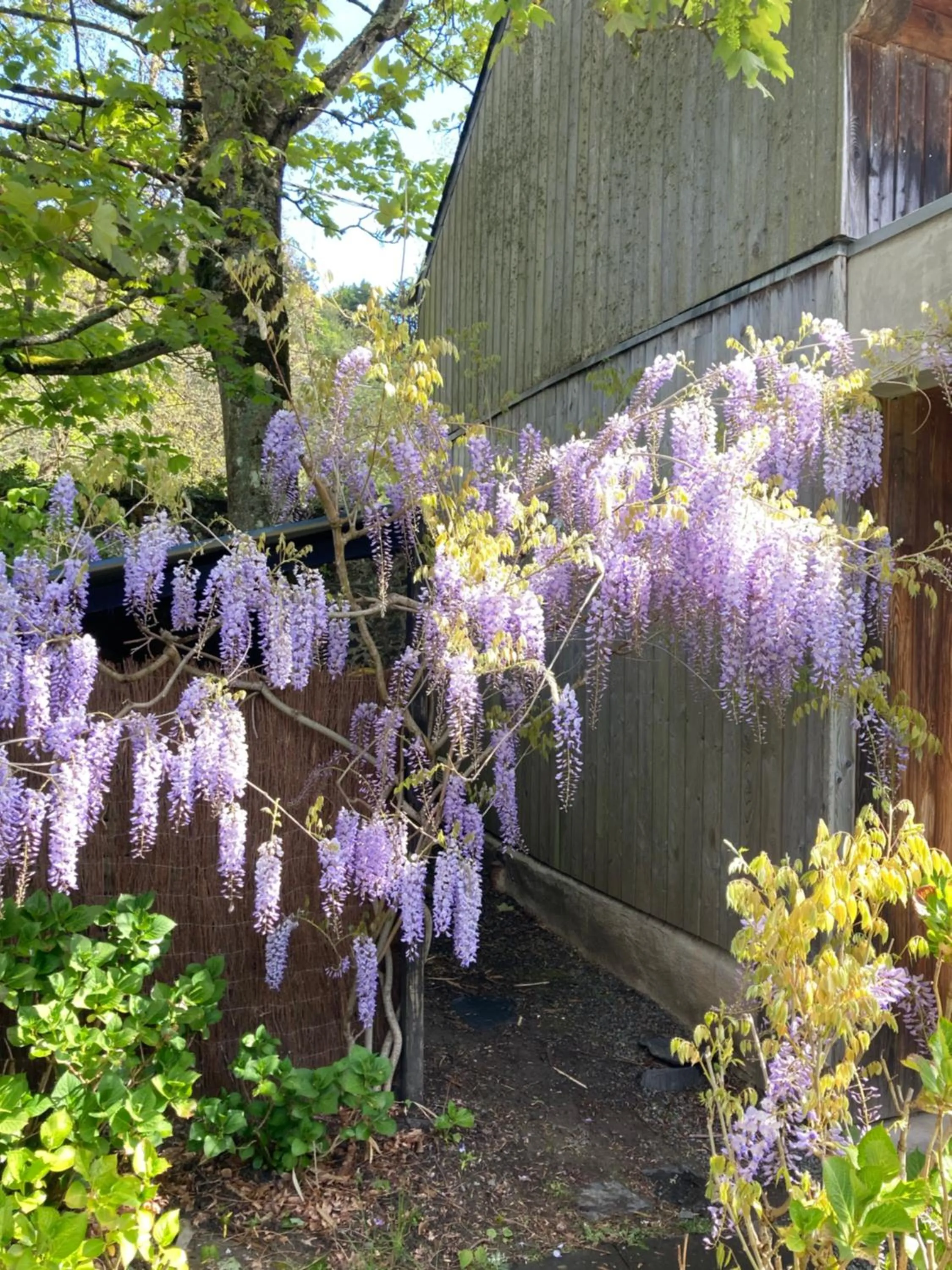 Chambres d hôtes du Moulin à papier