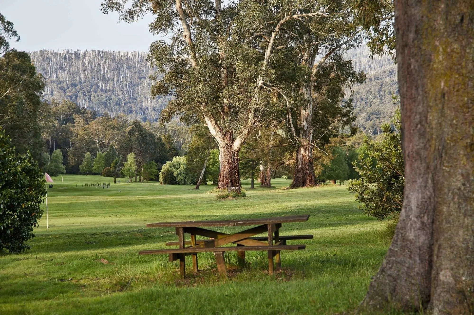 Tower Motel Marysville