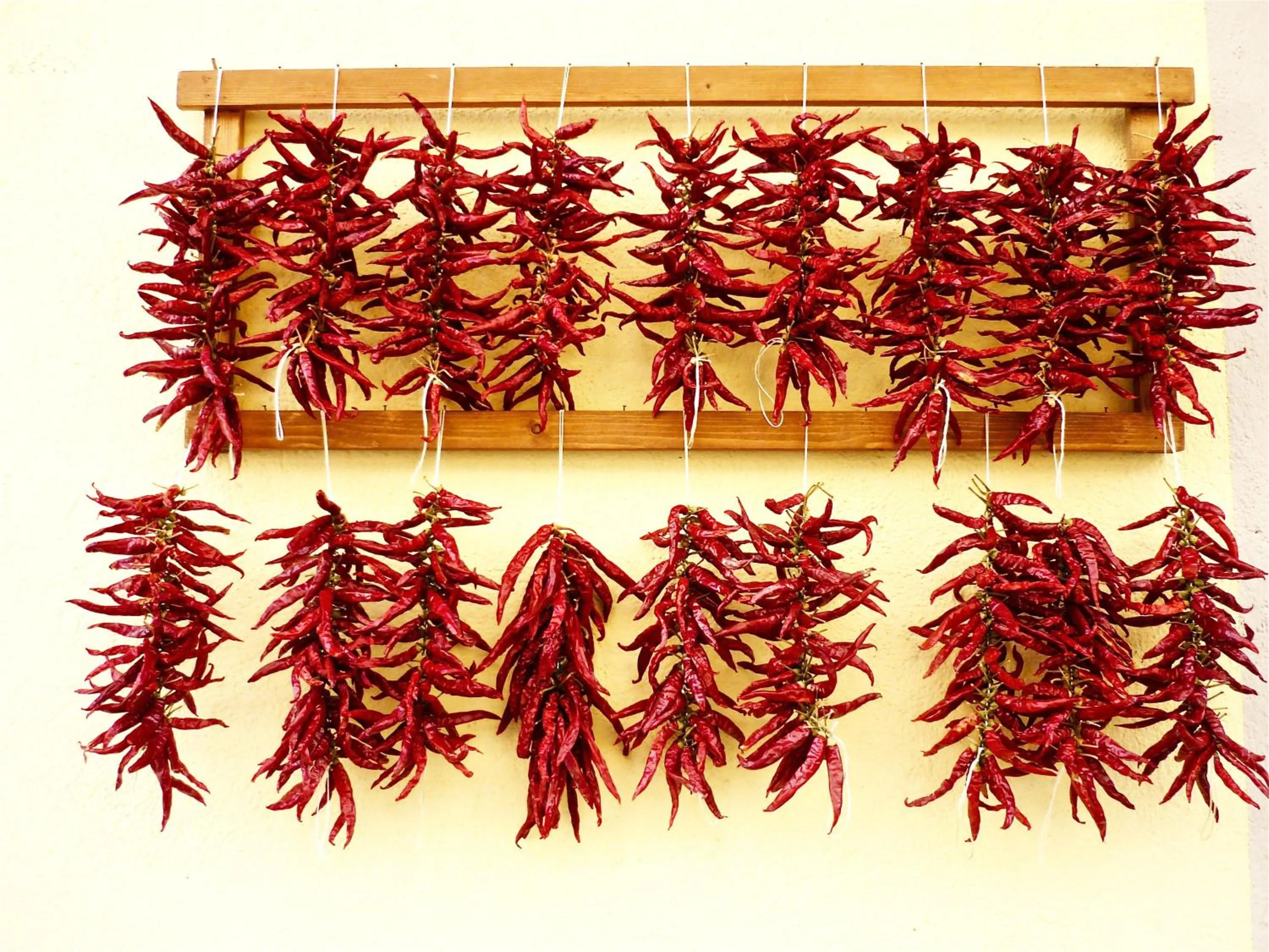 Food in Hotel Parthenius Cirella di Diamante