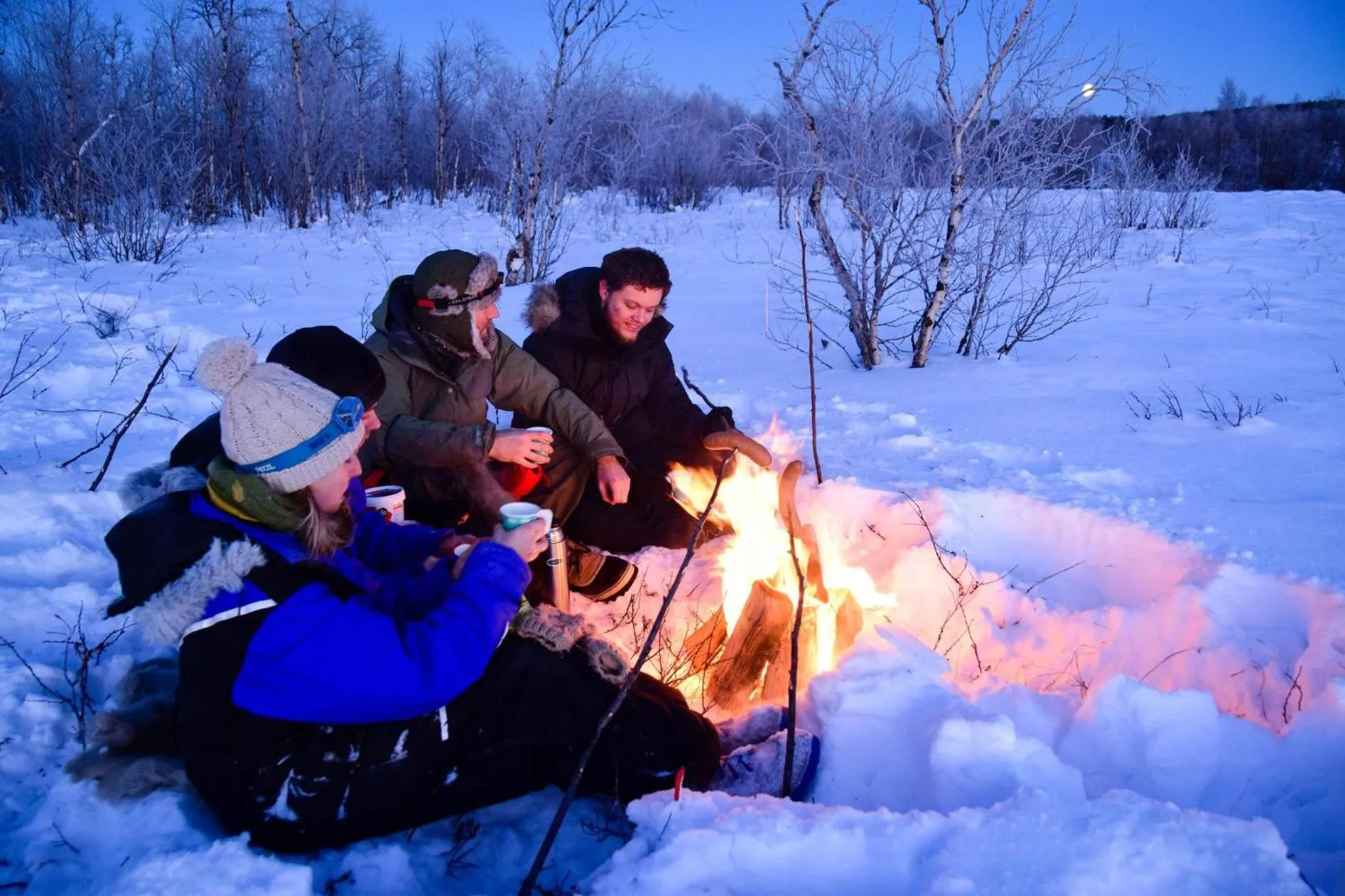 Activities in BIRK bed & birds