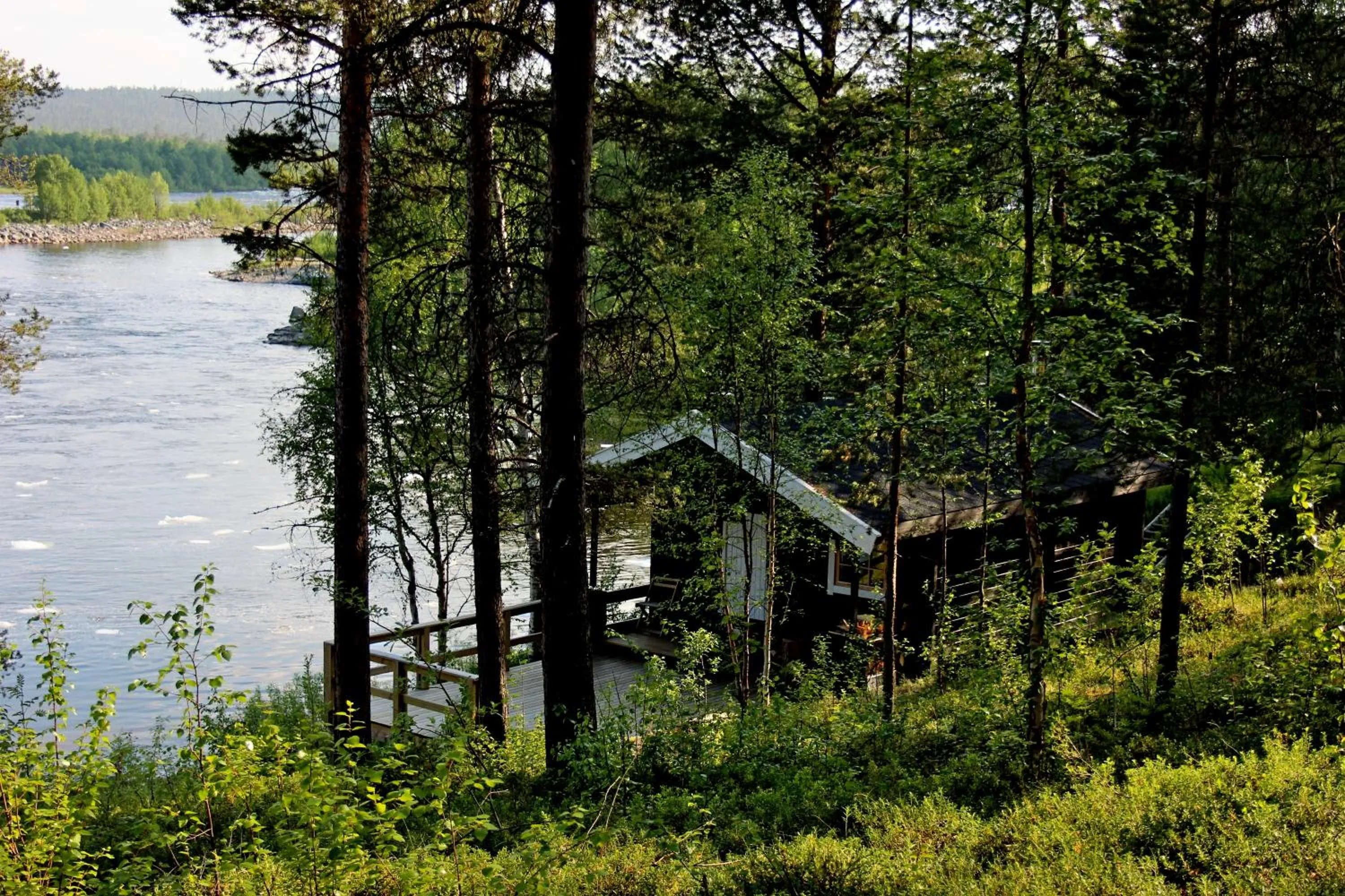 Other in BIRK bed & birds