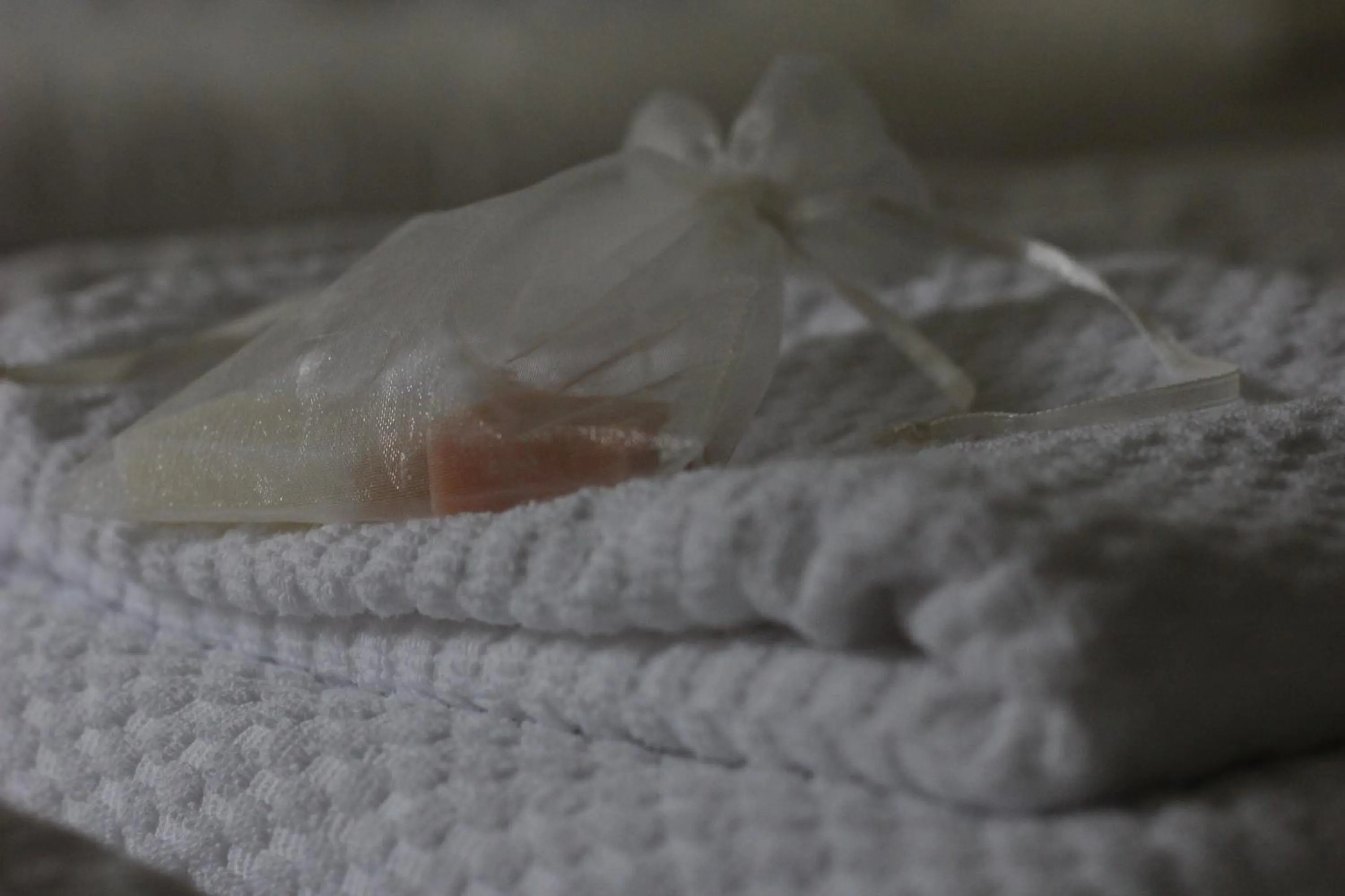 Decorative detail in BIRK bed & birds