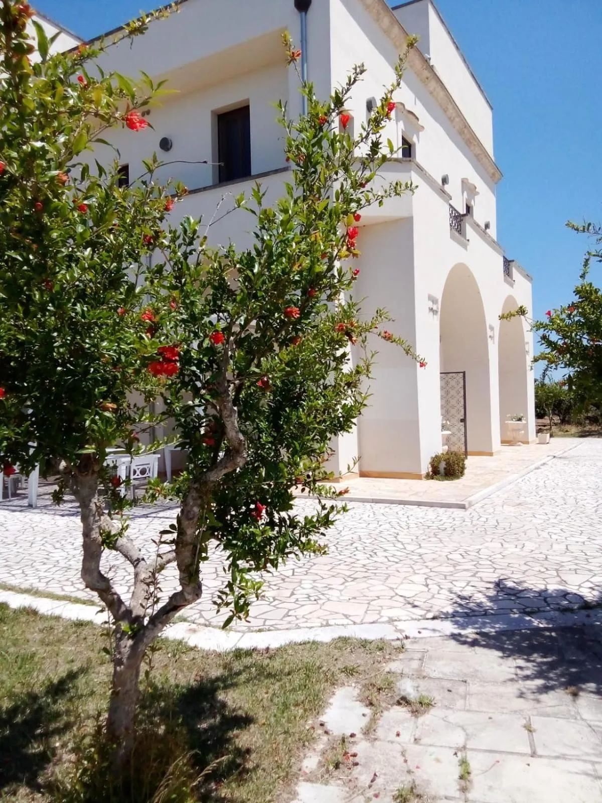 Tenuta degli Agrumi