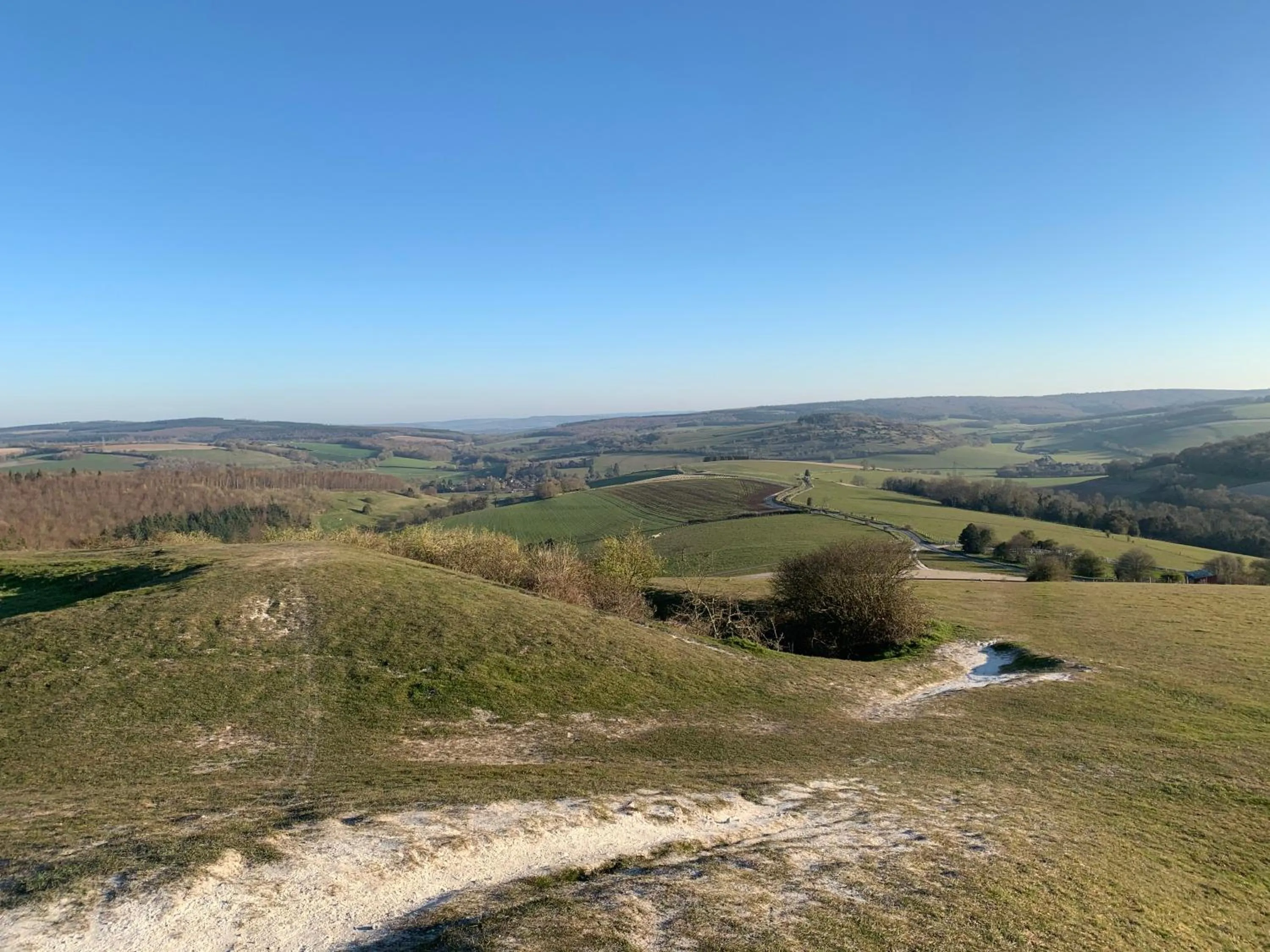 Natural landscape in South Street Apartments