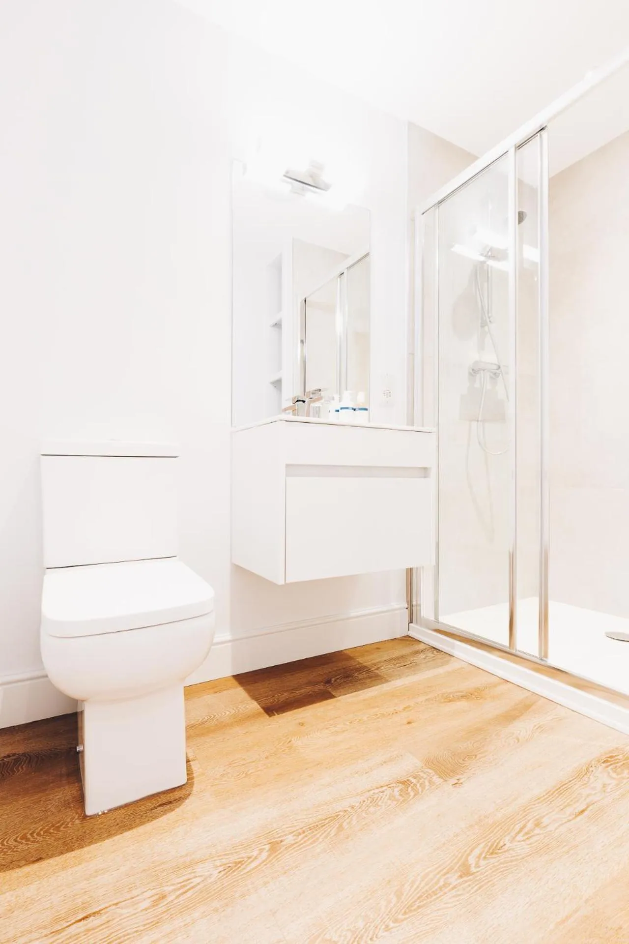 Toilet in South Street Apartments