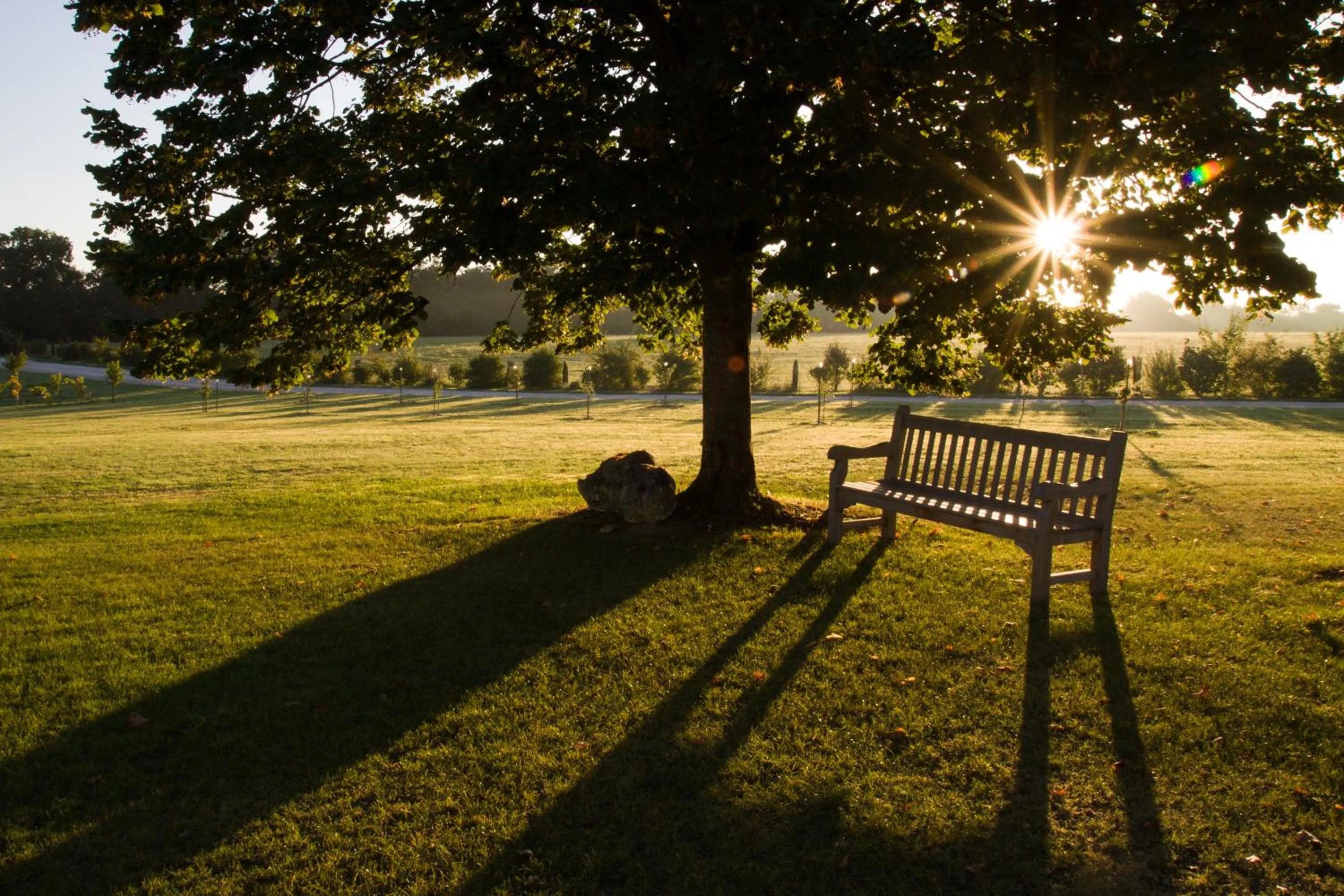 Area and facilities in Chambres d'hôtes Domaine de Nazère