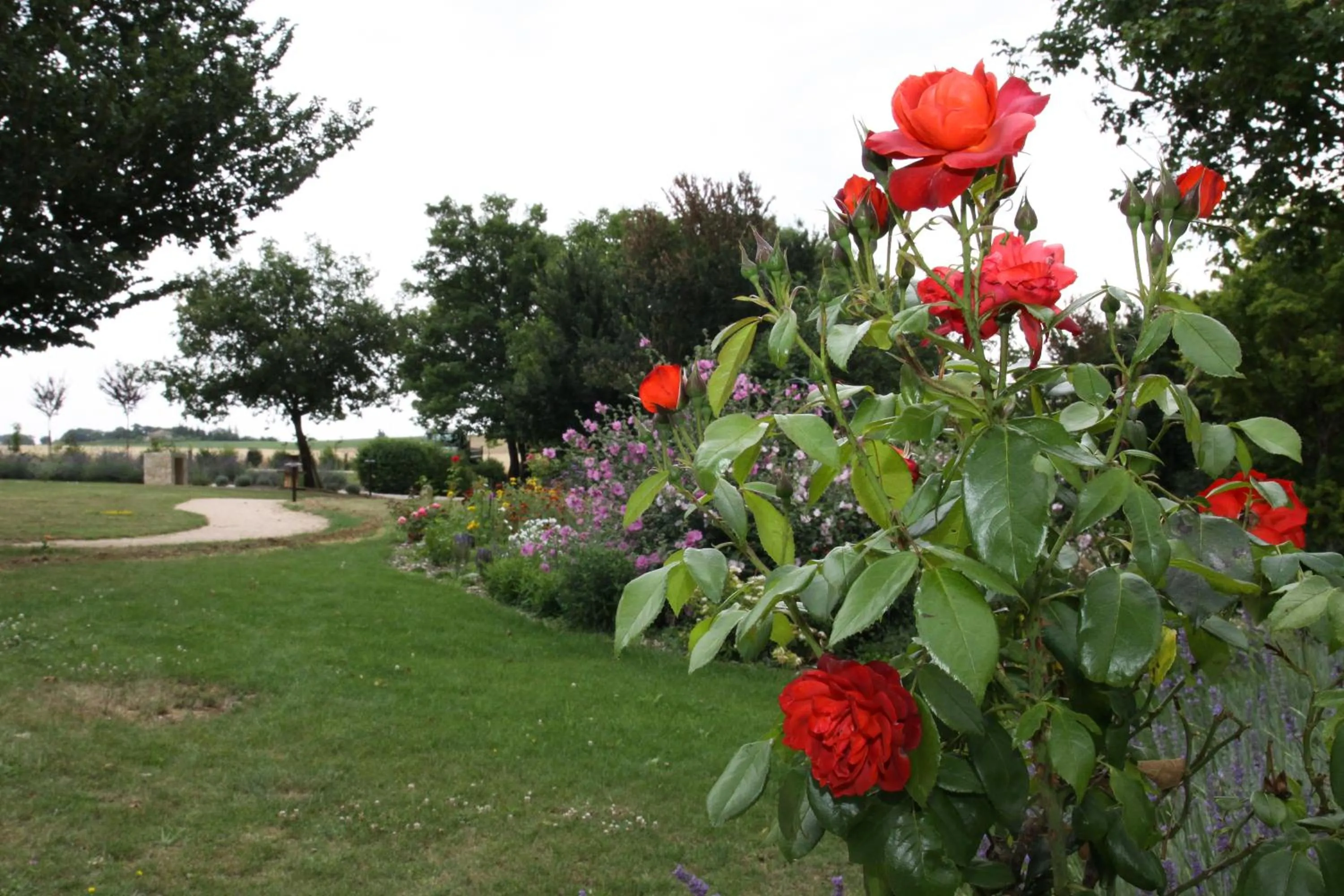 Facade/entrance in Chambres d'hôtes Domaine de Nazère