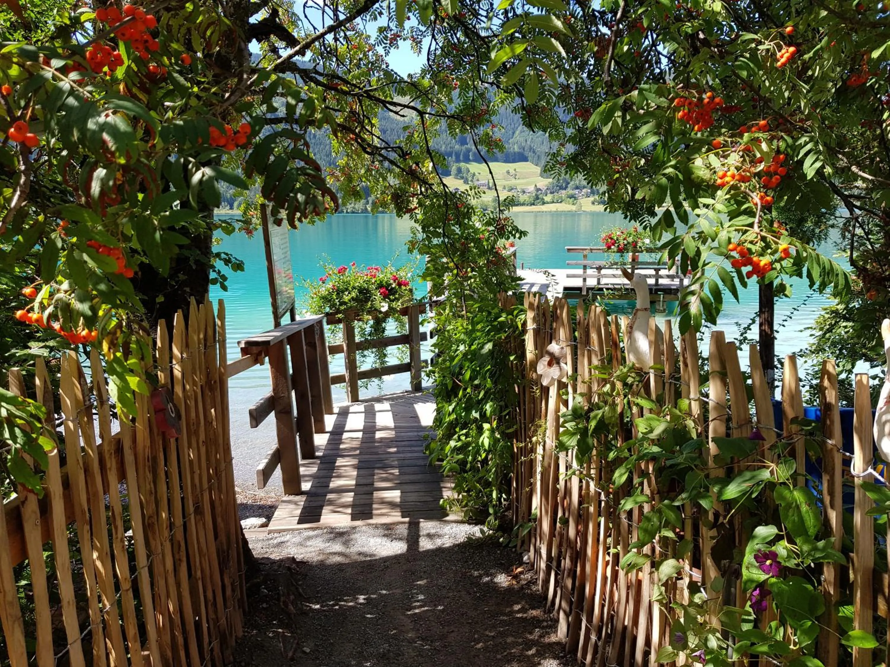 Lake view in Kraners Alpenhof BIO Bed and Breakfast Pension