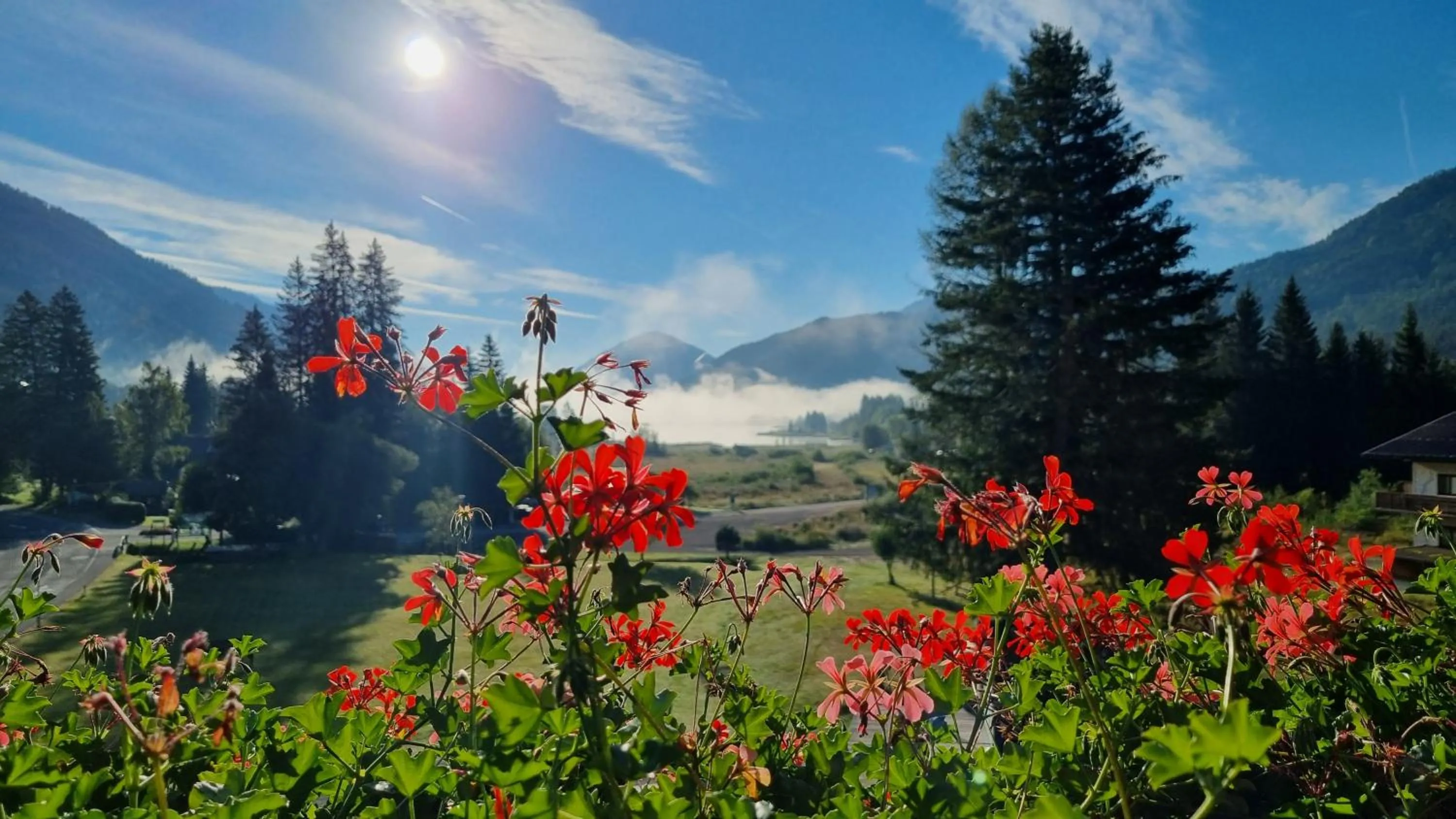 Lake view in Kraners Alpenhof BIO Bed and Breakfast Pension