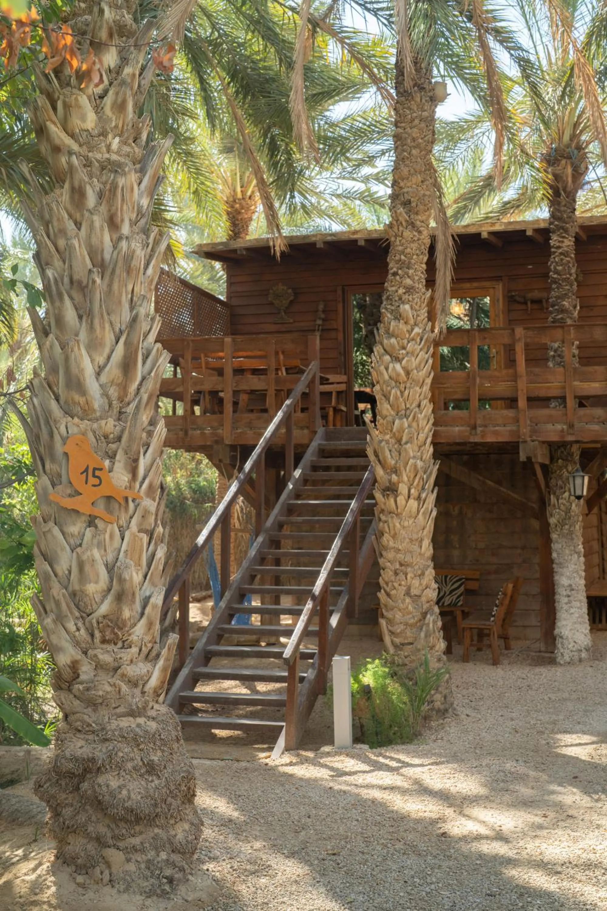 Garden view in Diar Abou Habibi