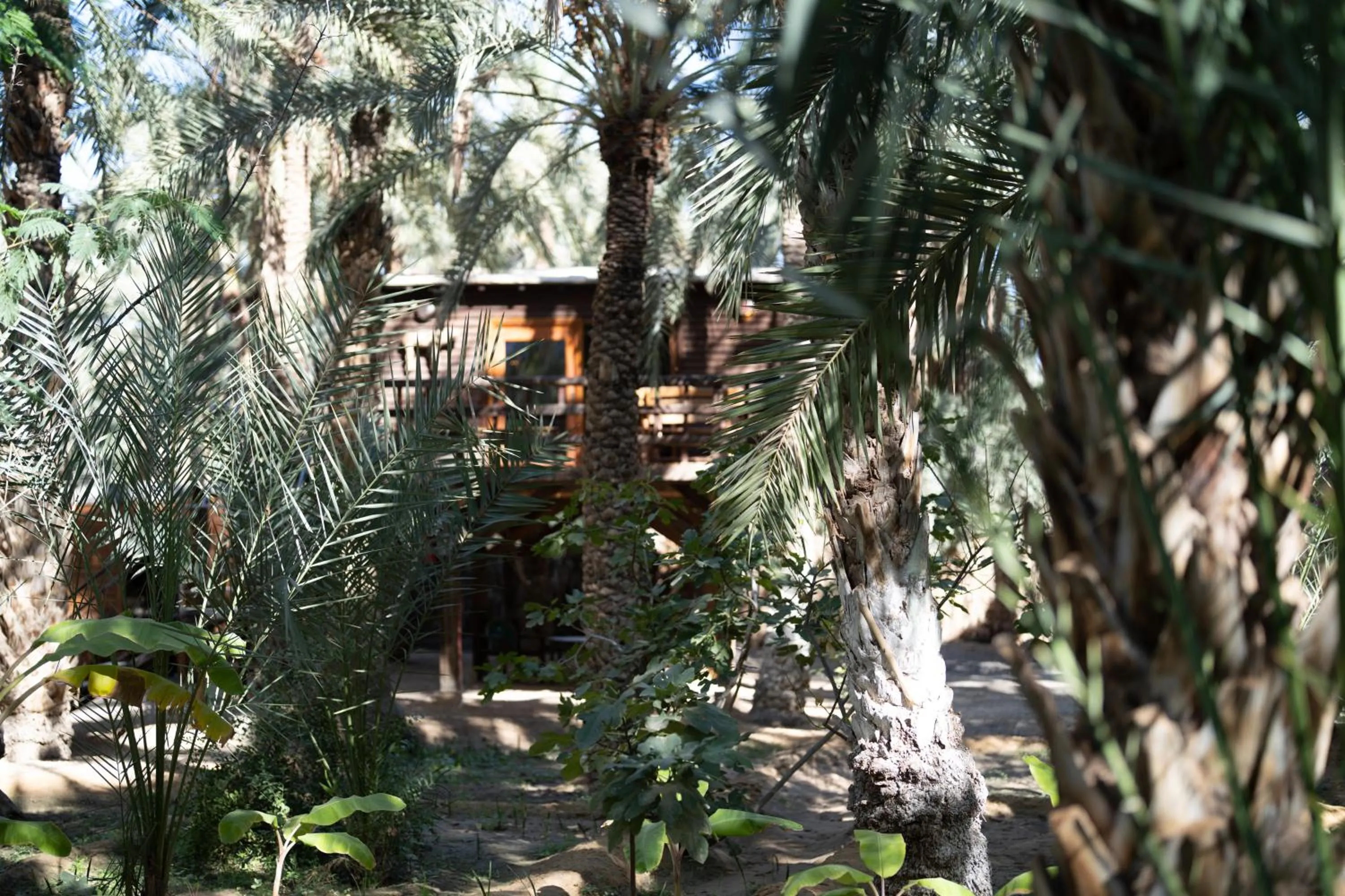 Natural landscape in Diar Abou Habibi