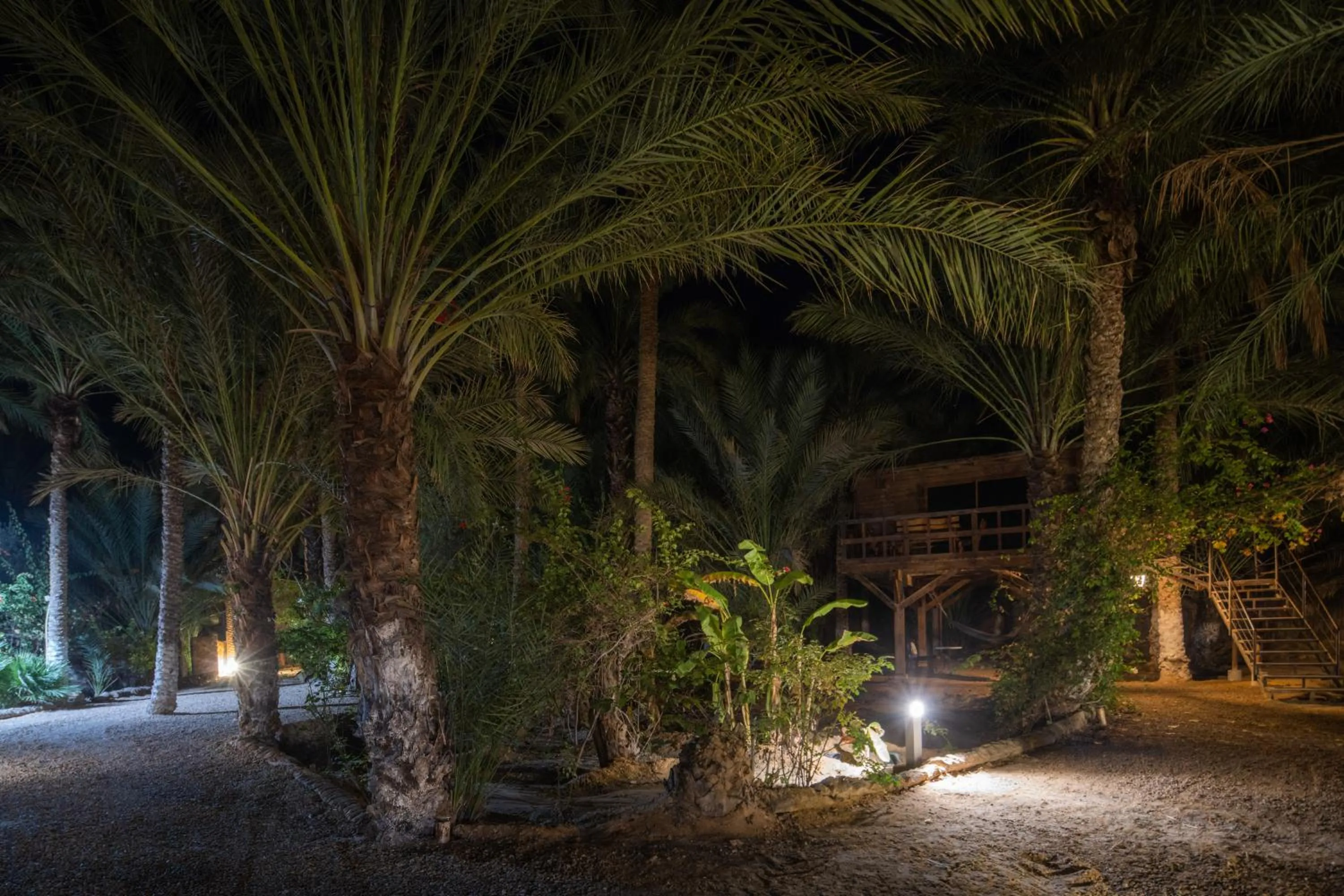 Natural landscape in Diar Abou Habibi