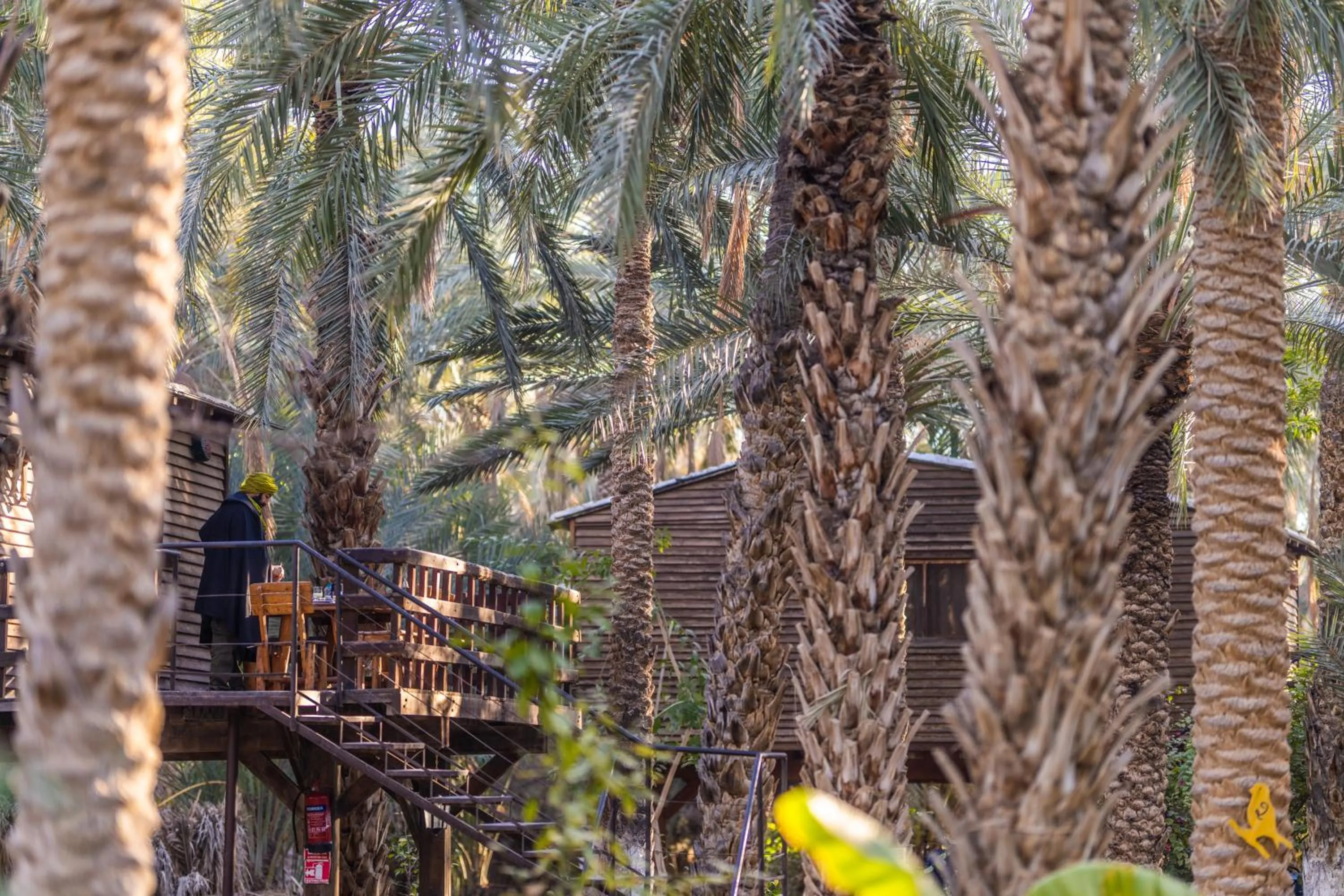 Natural landscape in Diar Abou Habibi