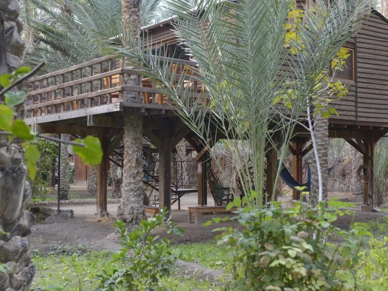 Property building in Diar Abou Habibi