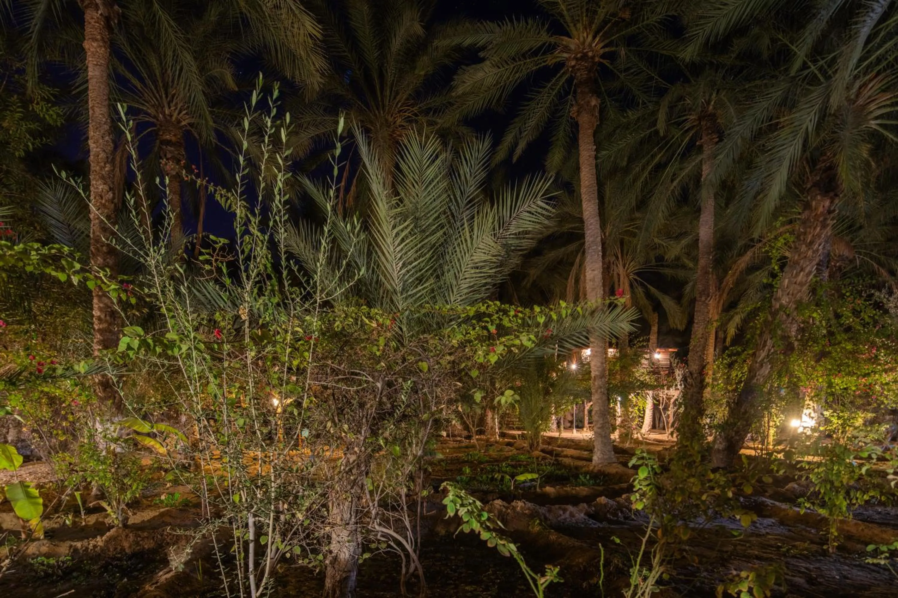 Natural landscape in Diar Abou Habibi