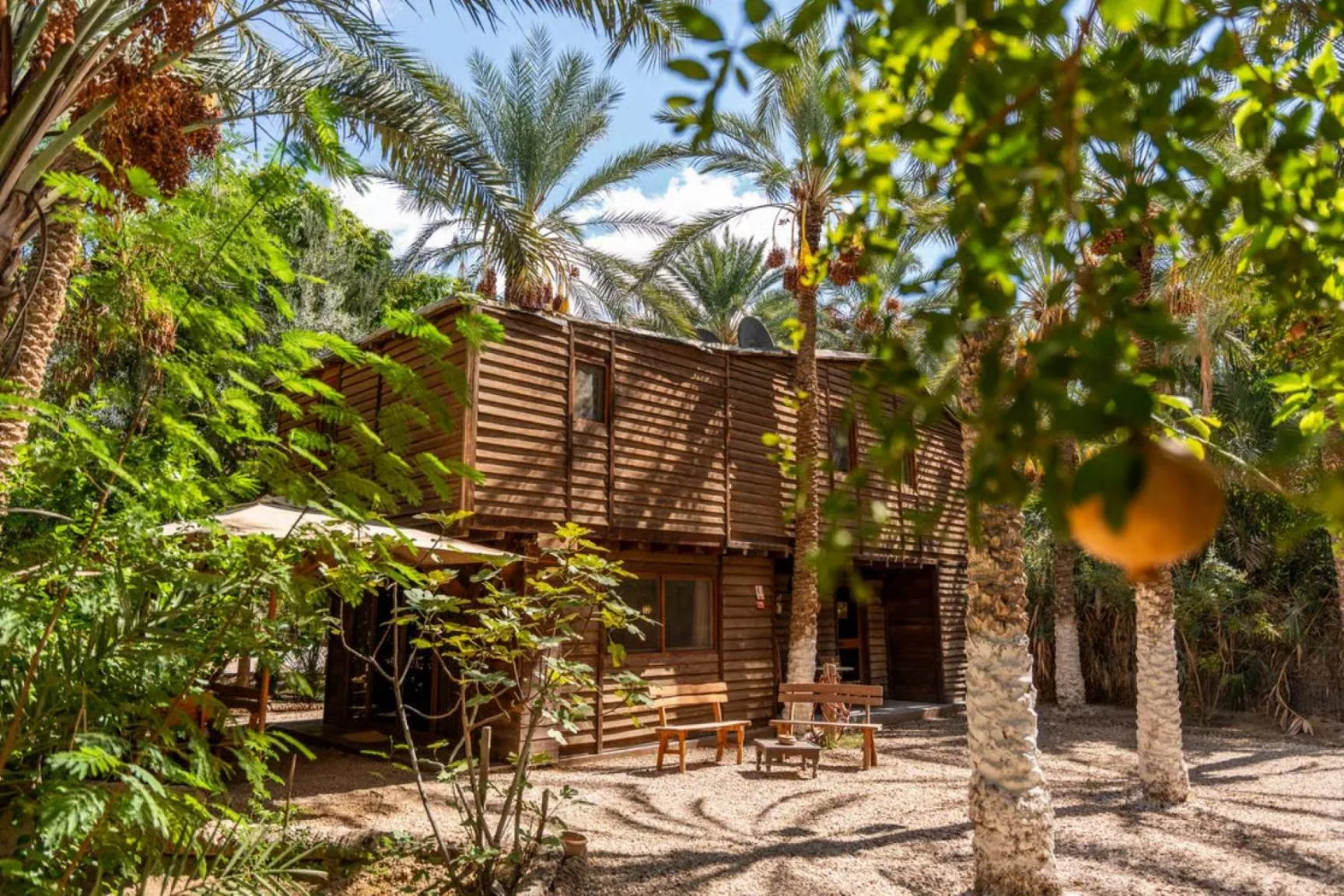 Garden view in Diar Abou Habibi