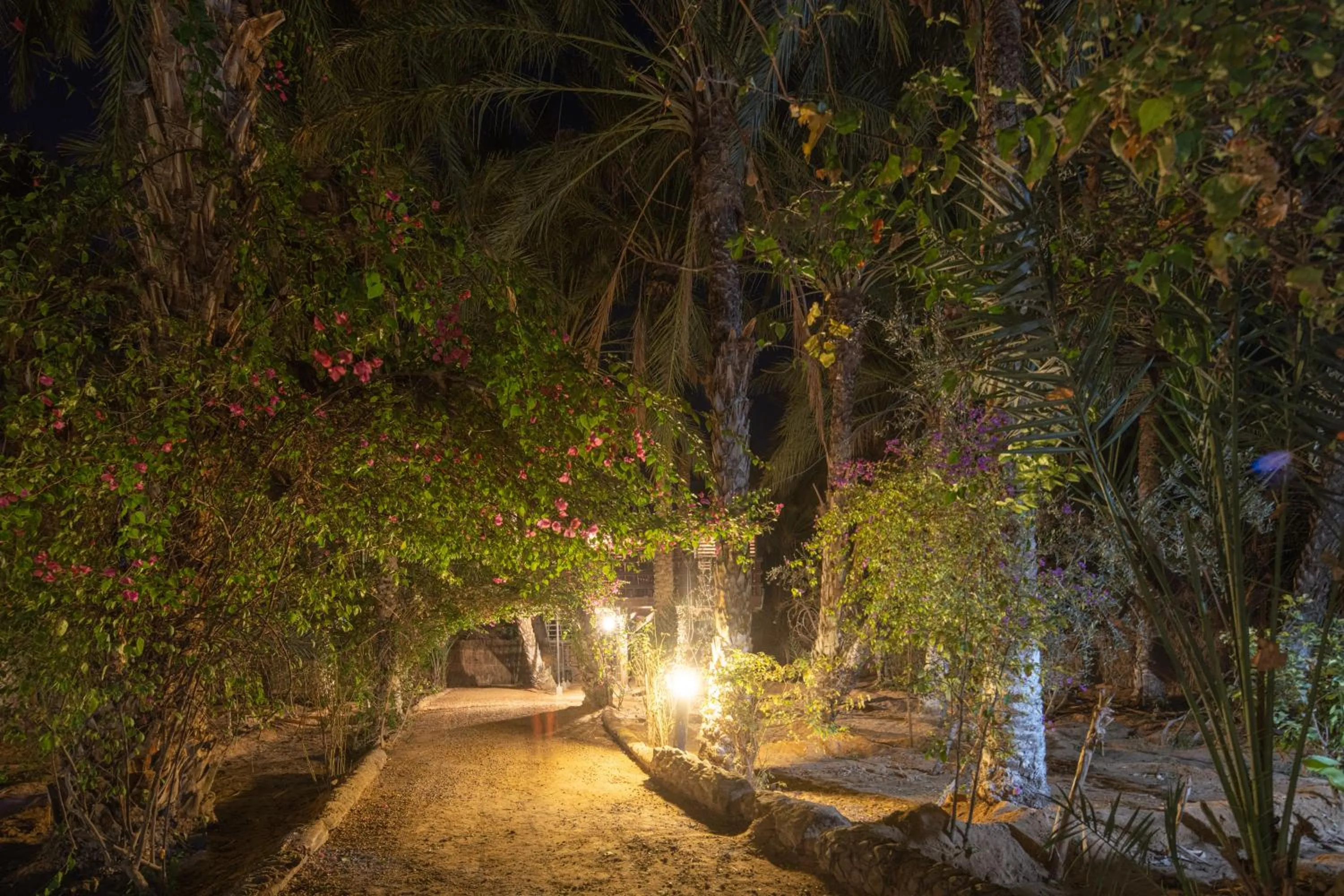 Night in Diar Abou Habibi