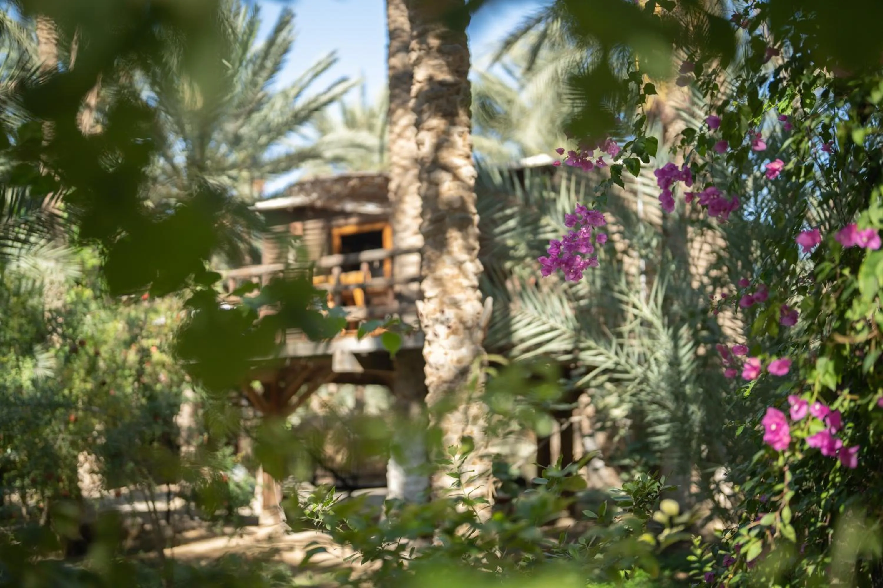 Natural landscape in Diar Abou Habibi