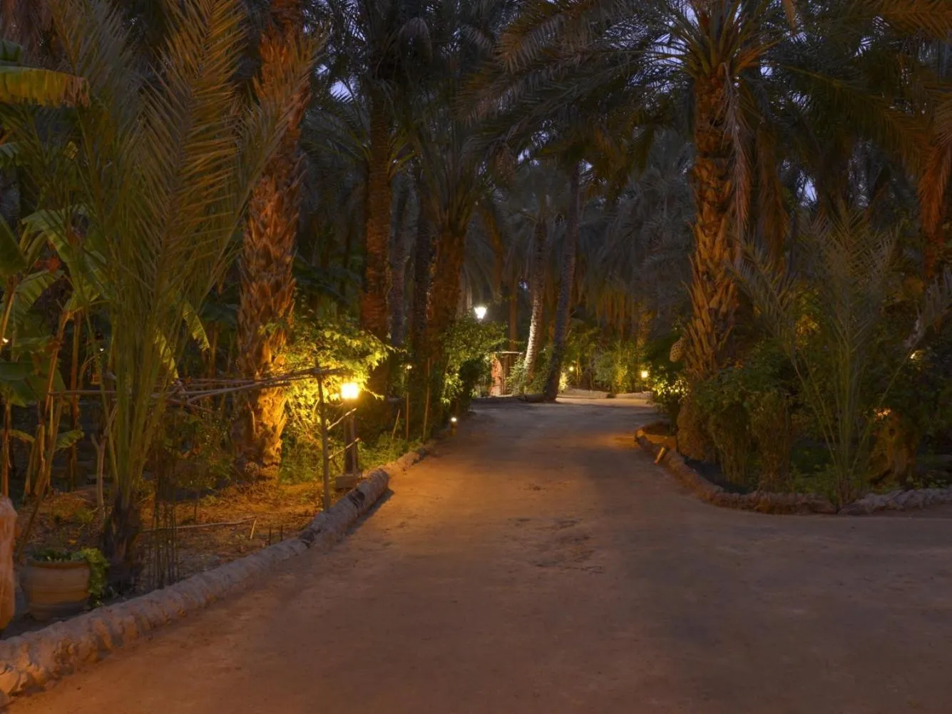 View (from property/room) in Diar Abou Habibi
