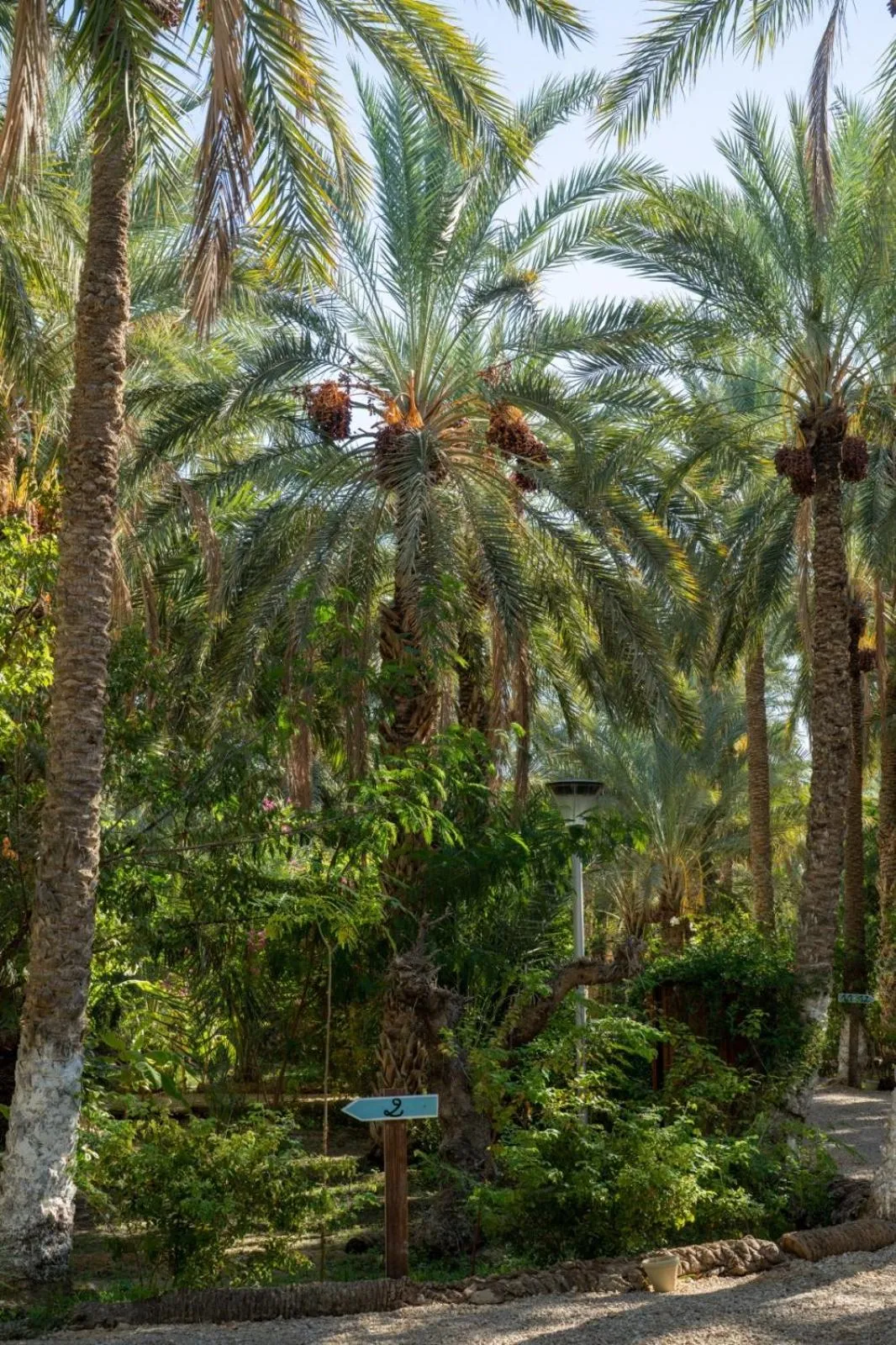 Natural landscape in Diar Abou Habibi