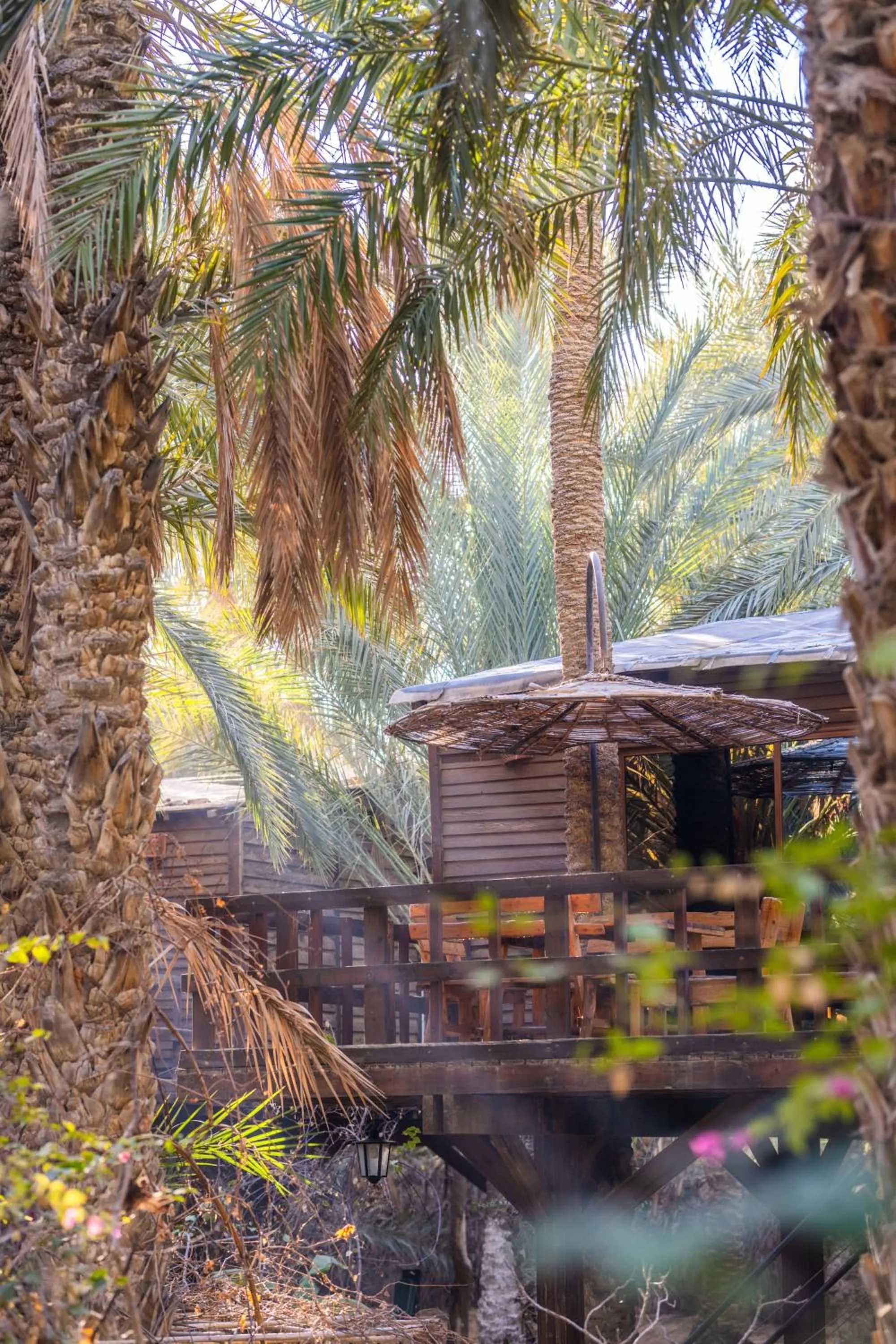 Patio in Diar Abou Habibi