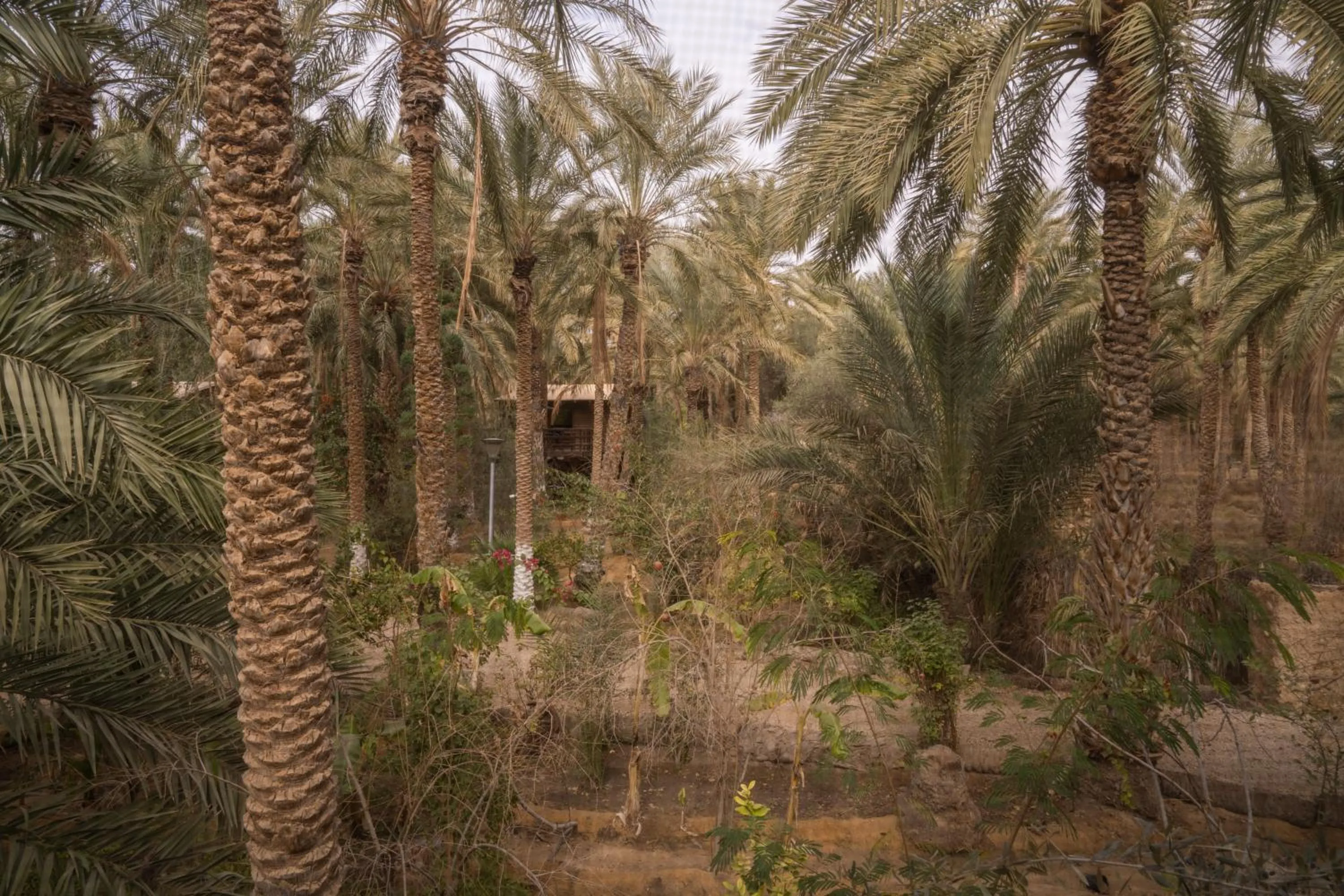 Natural landscape in Diar Abou Habibi