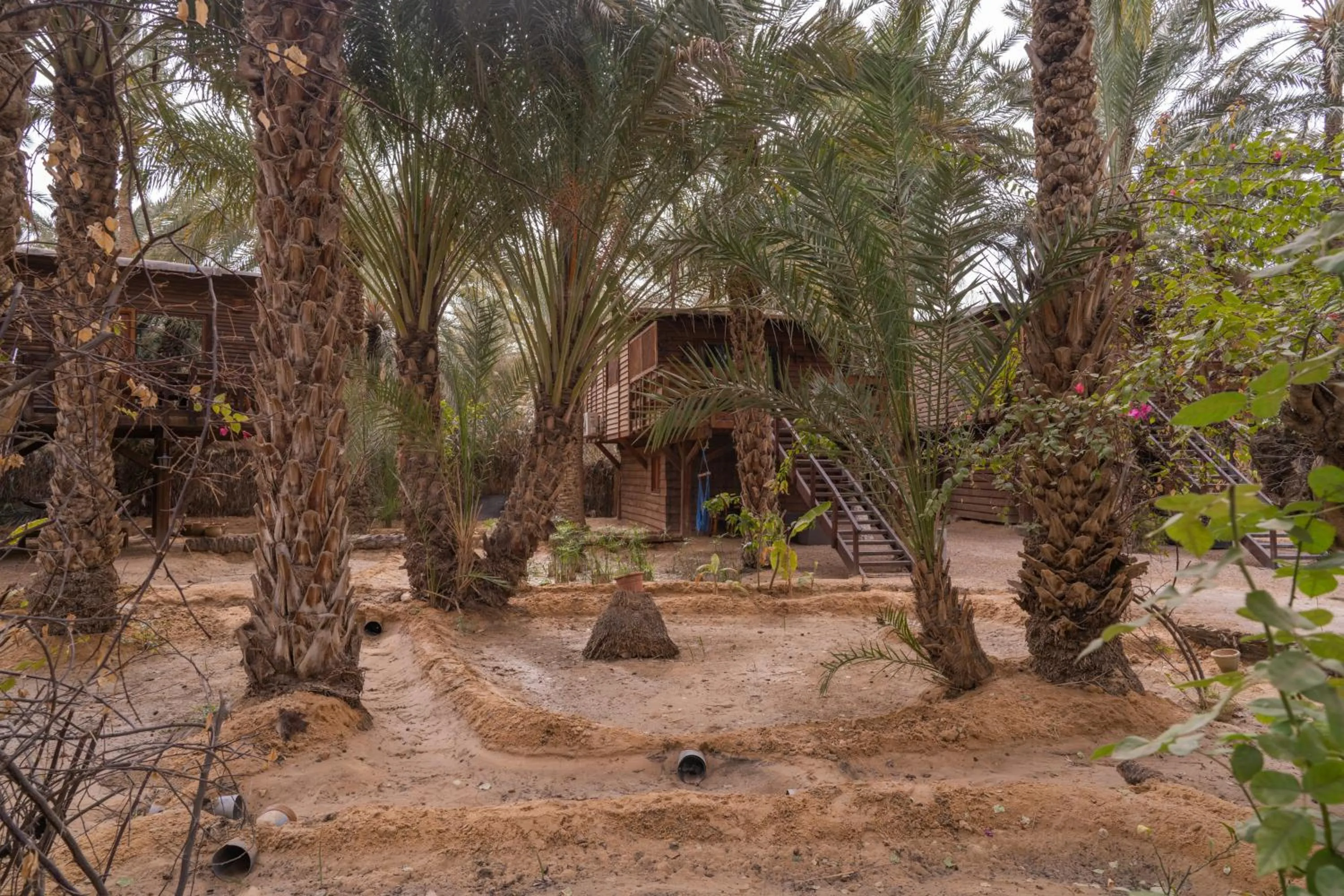 Day in Diar Abou Habibi